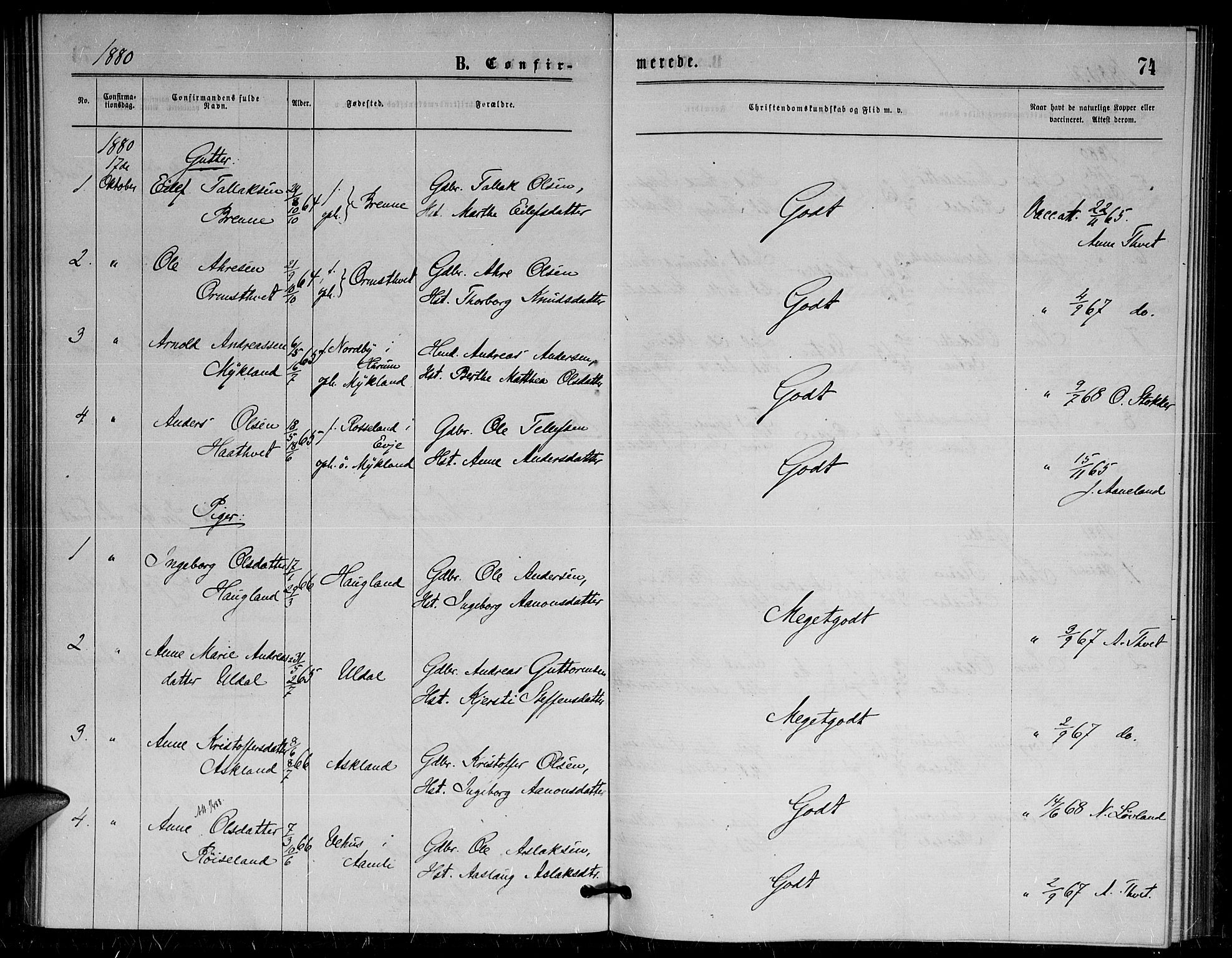 Herefoss sokneprestkontor, AV/SAK-1111-0019/F/Fa/Fac/L0001: Parish register (official) no. A 1, 1871-1886, p. 74