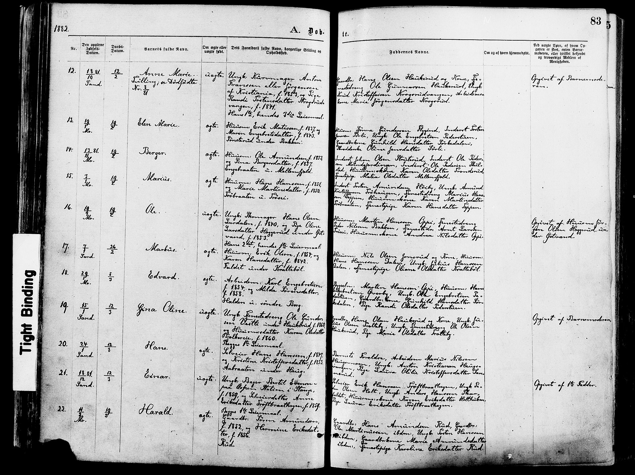 Nord-Odal prestekontor, AV/SAH-PREST-032/H/Ha/Haa/L0005: Parish register (official) no. 5, 1874-1885, p. 83