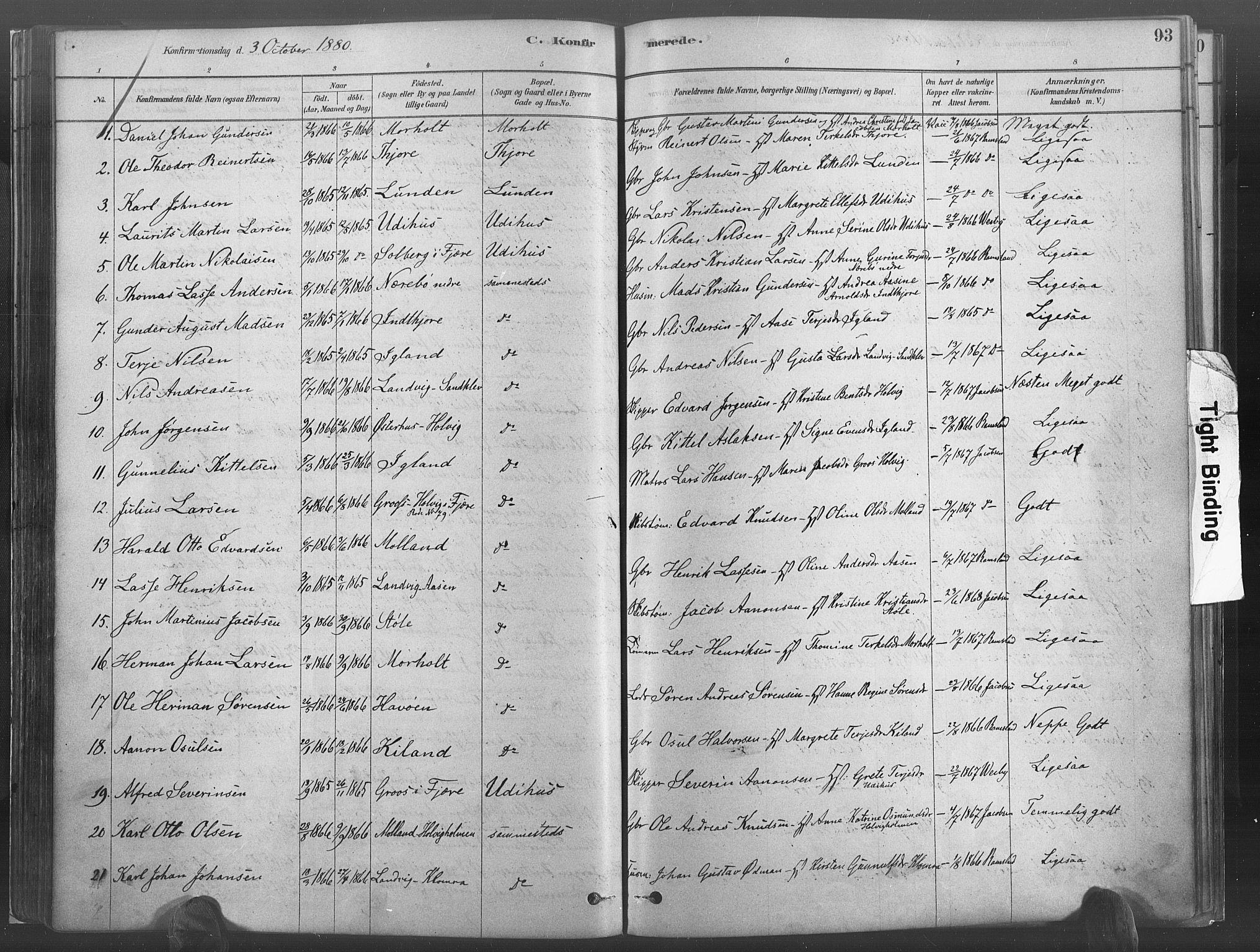 Hommedal sokneprestkontor, SAK/1111-0023/F/Fa/Fab/L0006: Parish register (official) no. A 6, 1878-1897, p. 93