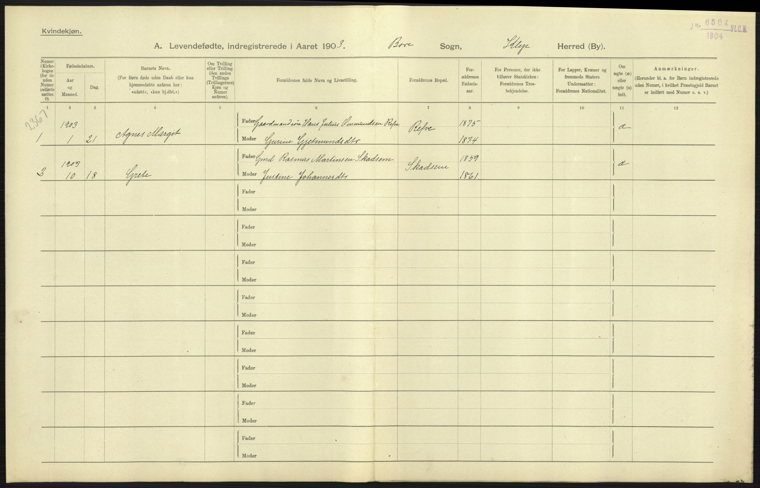 Statistisk sentralbyrå, Sosiodemografiske emner, Befolkning, AV/RA-S-2228/D/Df/Dfa/Dfaa/L0012: Stavanger amt: Fødte, gifte, døde, 1903, p. 37