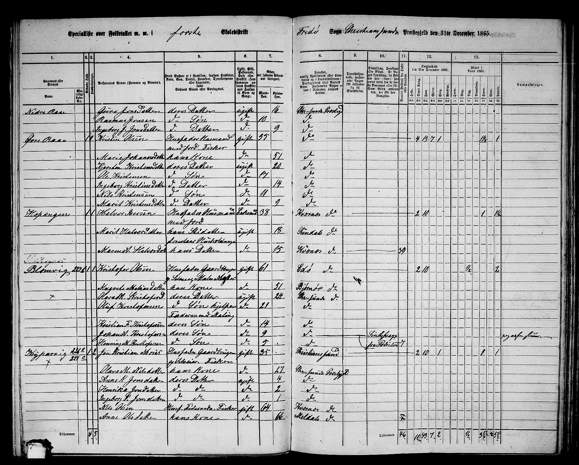 RA, 1865 census for Kristiansund/Frei og Grip, 1865, p. 9