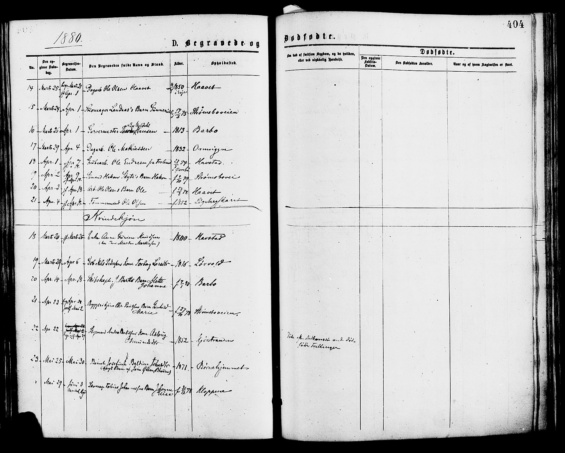 Barbu sokneprestkontor, AV/SAK-1111-0003/F/Fa/L0001: Parish register (official) no. A 1 /1, 1878-1883, p. 404