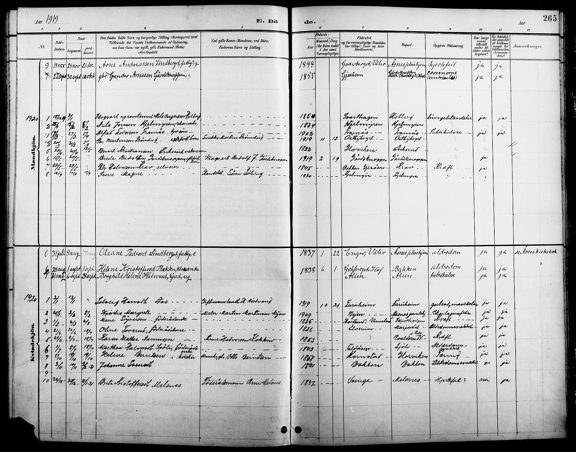 Åsnes prestekontor, AV/SAH-PREST-042/H/Ha/Hab/L0005: Parish register (copy) no. 5, 1895-1920, p. 265