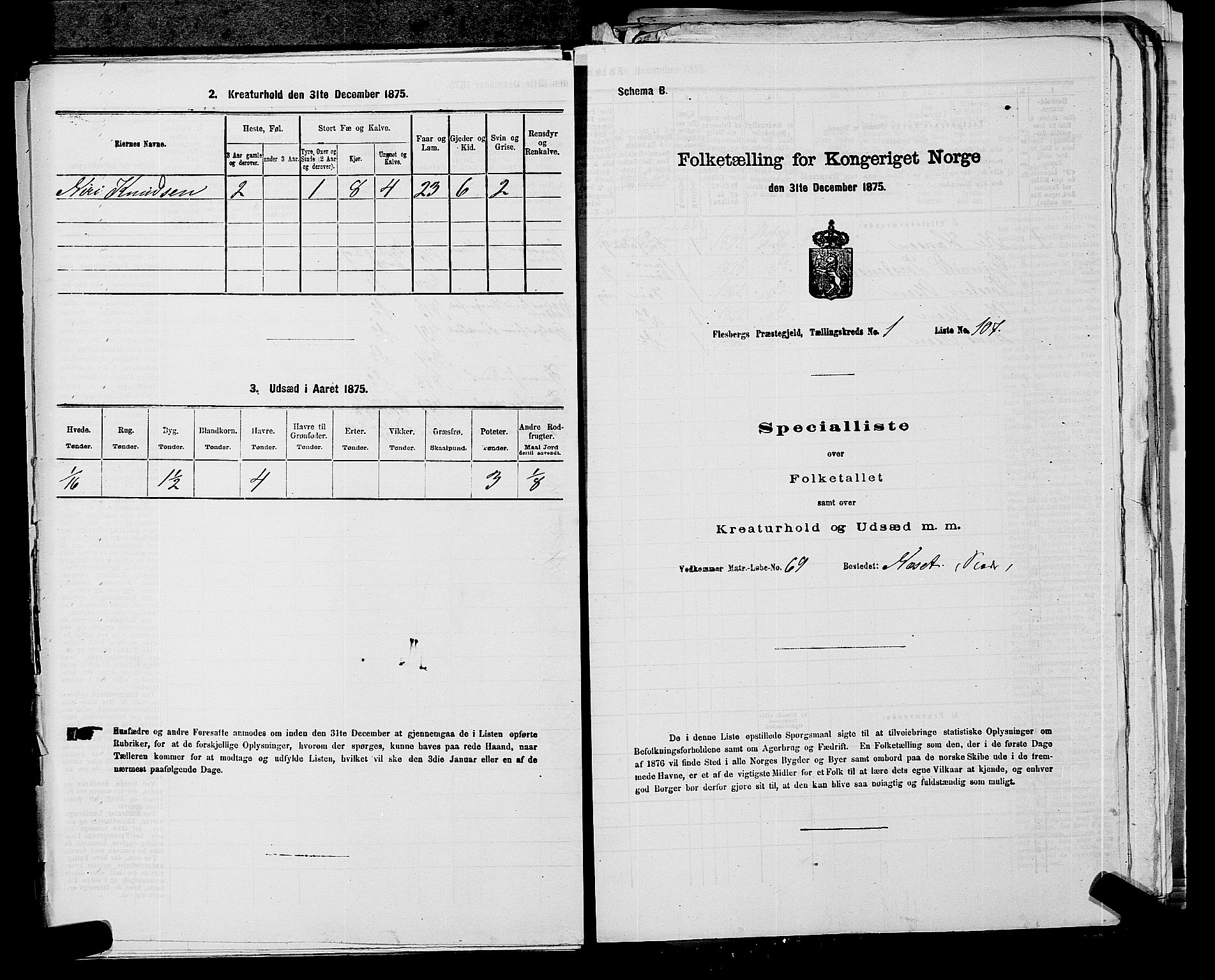 SAKO, 1875 census for 0631P Flesberg, 1875, p. 273