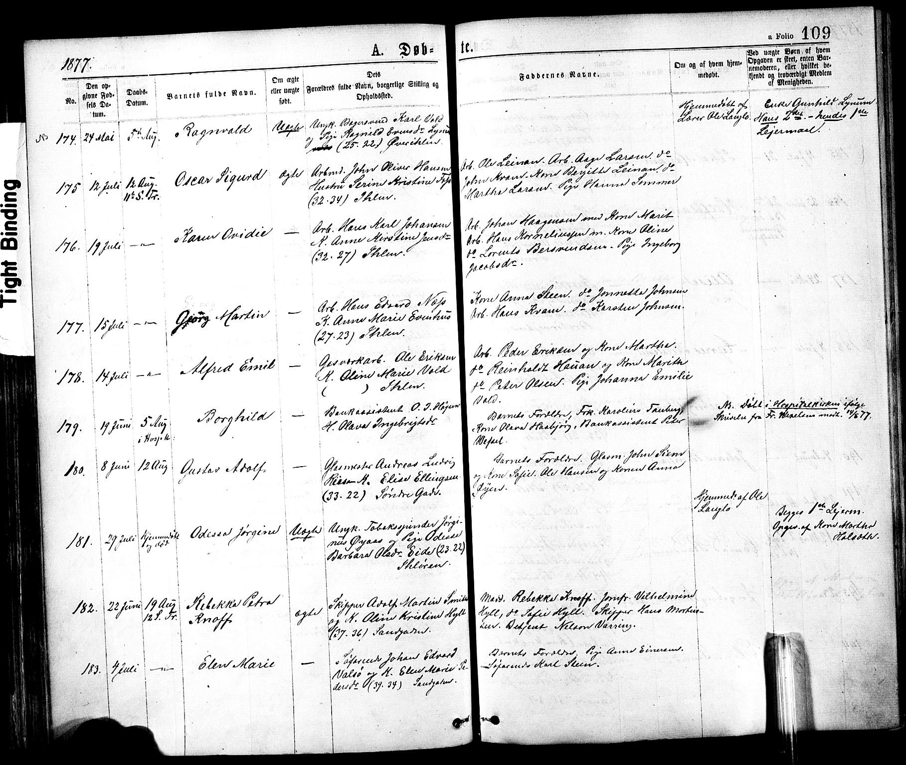 Ministerialprotokoller, klokkerbøker og fødselsregistre - Sør-Trøndelag, SAT/A-1456/602/L0118: Parish register (official) no. 602A16, 1873-1879, p. 109