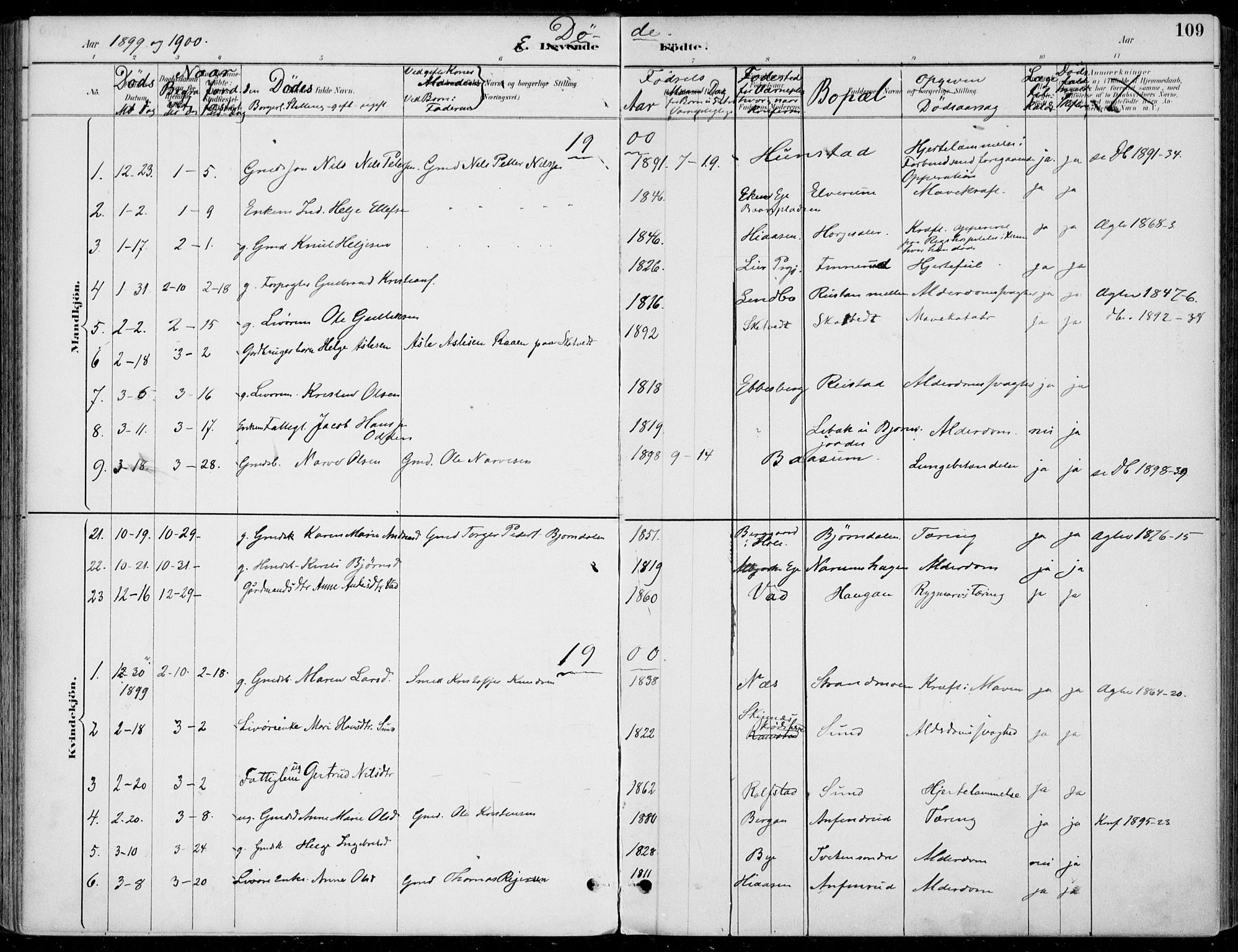 Sigdal kirkebøker, SAKO/A-245/F/Fb/L0001: Parish register (official) no. II 1, 1888-1900, p. 109