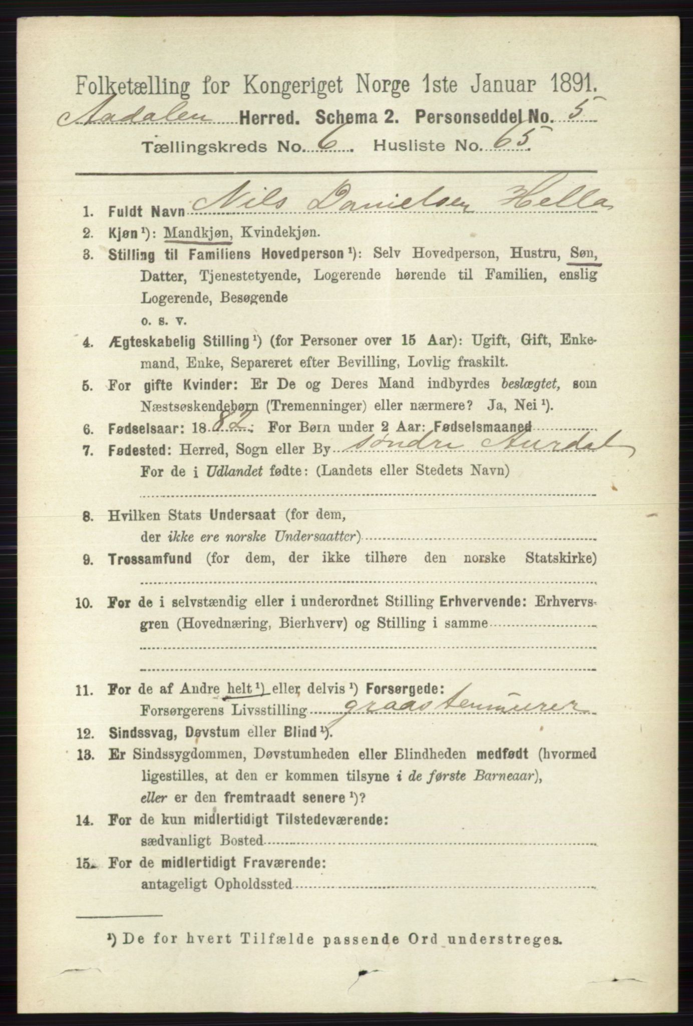 RA, 1891 census for 0614 Ådal, 1891, p. 3004