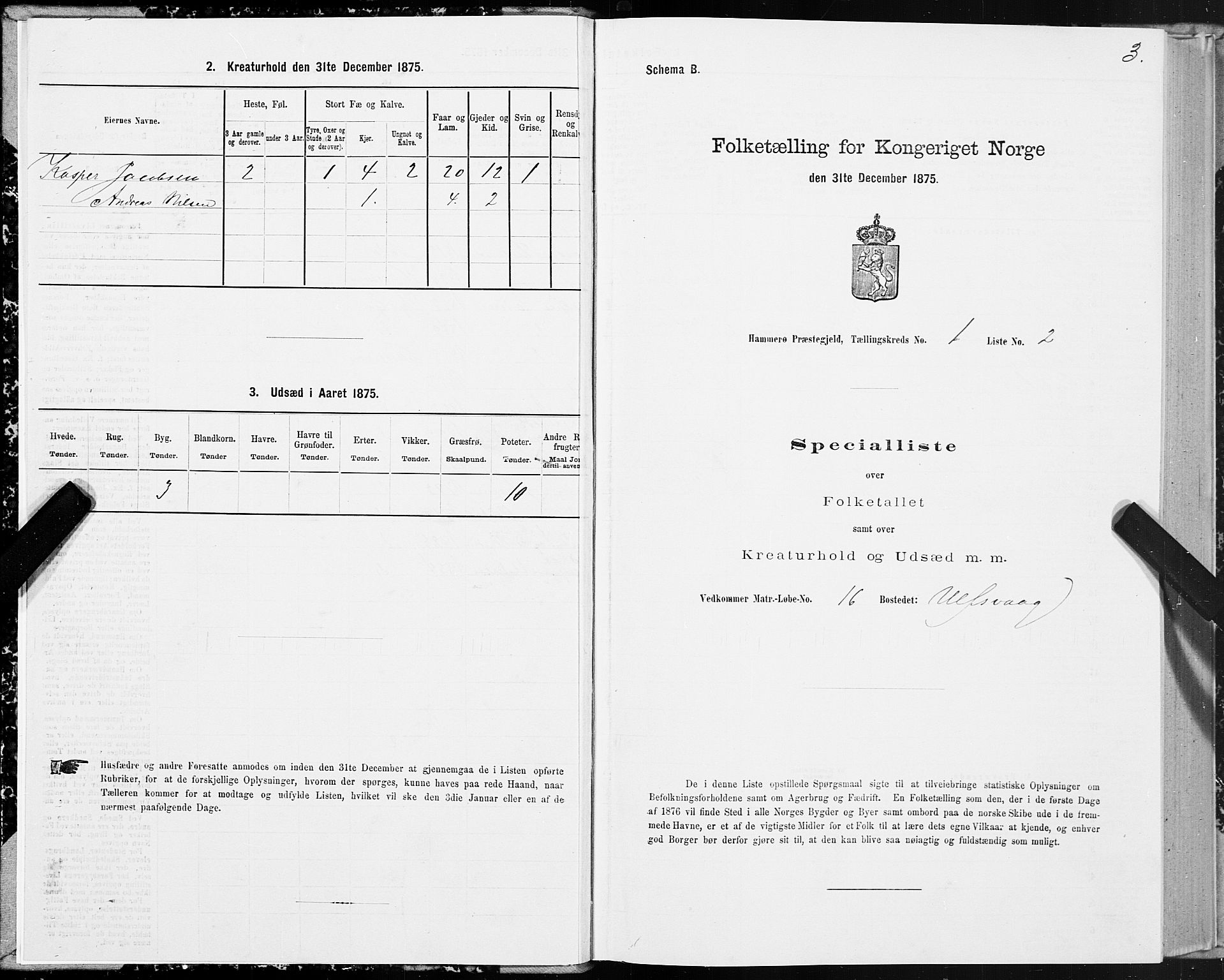 SAT, 1875 census for 1849P Hamarøy, 1875, p. 1003