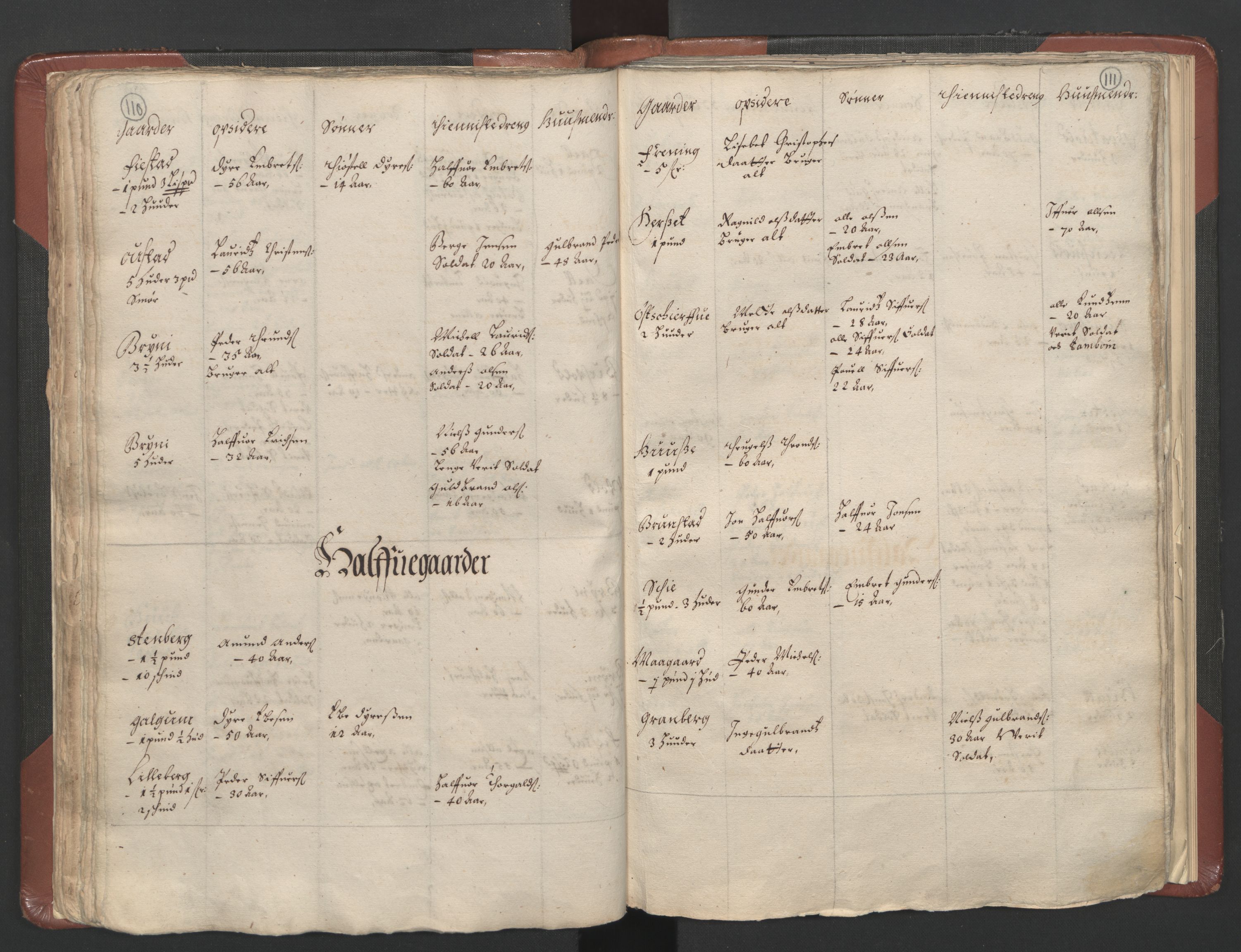 RA, Bailiff's Census 1664-1666, no. 3: Hedmark fogderi and Solør, Østerdal and Odal fogderi, 1664, p. 110-111