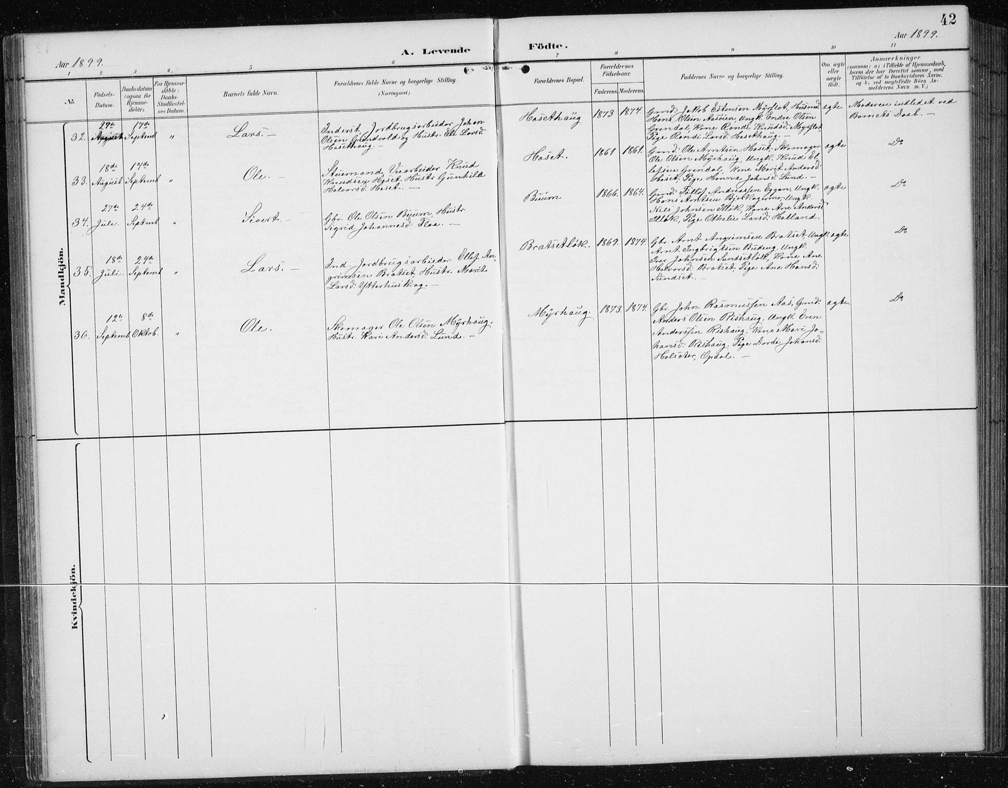 Ministerialprotokoller, klokkerbøker og fødselsregistre - Sør-Trøndelag, AV/SAT-A-1456/674/L0876: Parish register (copy) no. 674C03, 1892-1912, p. 42