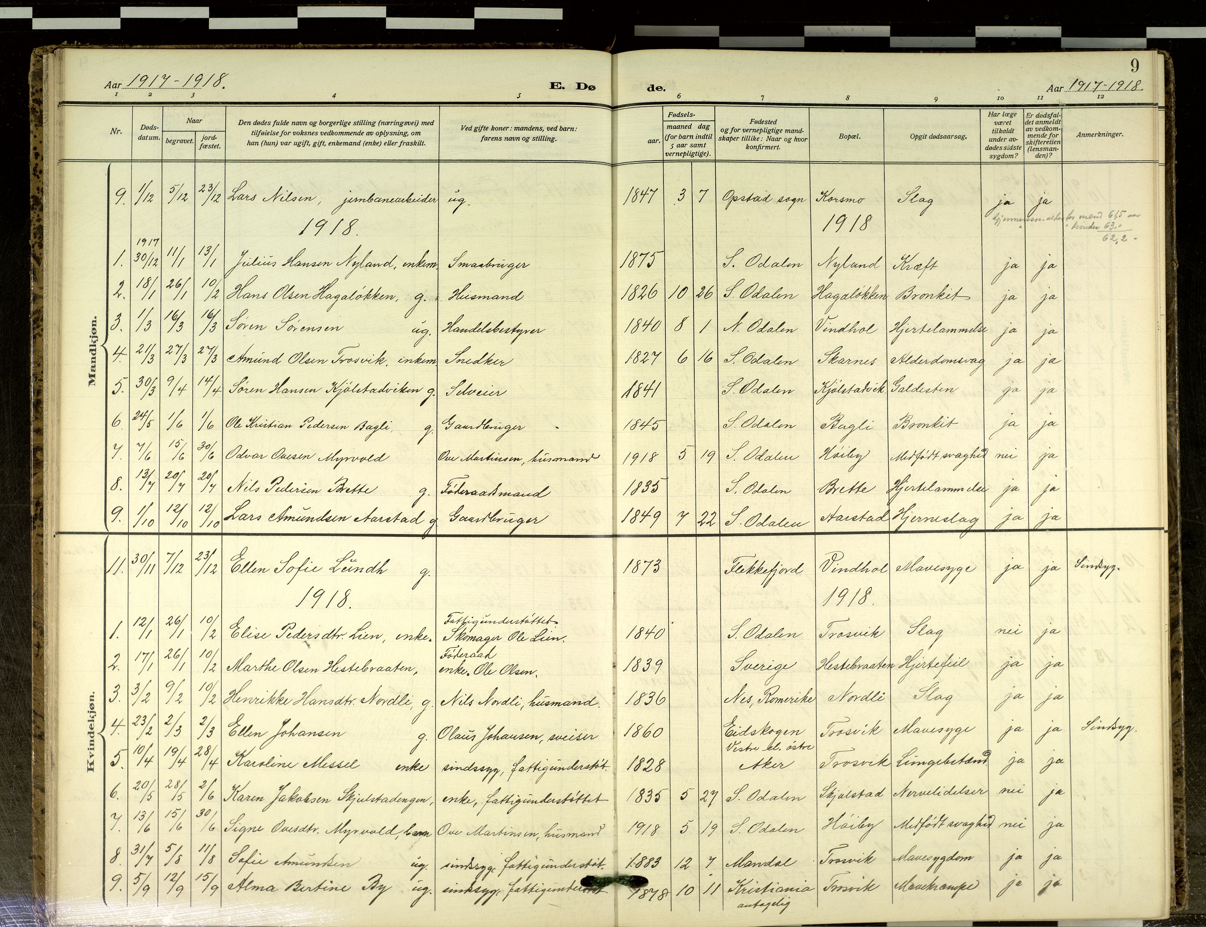 Sør-Odal prestekontor, AV/SAH-PREST-030/H/Ha/Haa/L0021: Parish register (official) no. 21, 1909-2012, p. 9