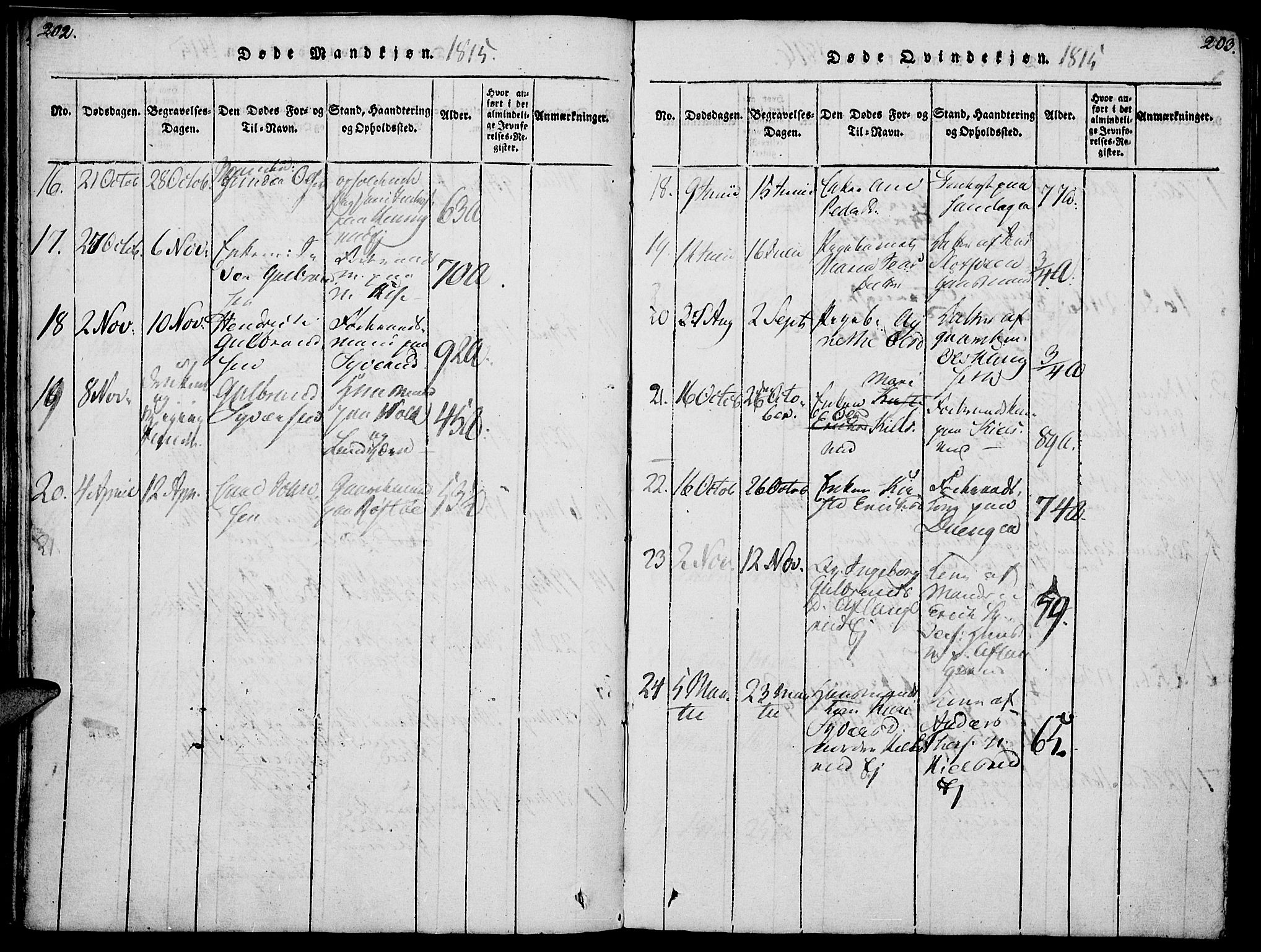 Nes prestekontor, Hedmark, AV/SAH-PREST-020/K/Ka/L0002: Parish register (official) no. 2, 1813-1827, p. 202-203