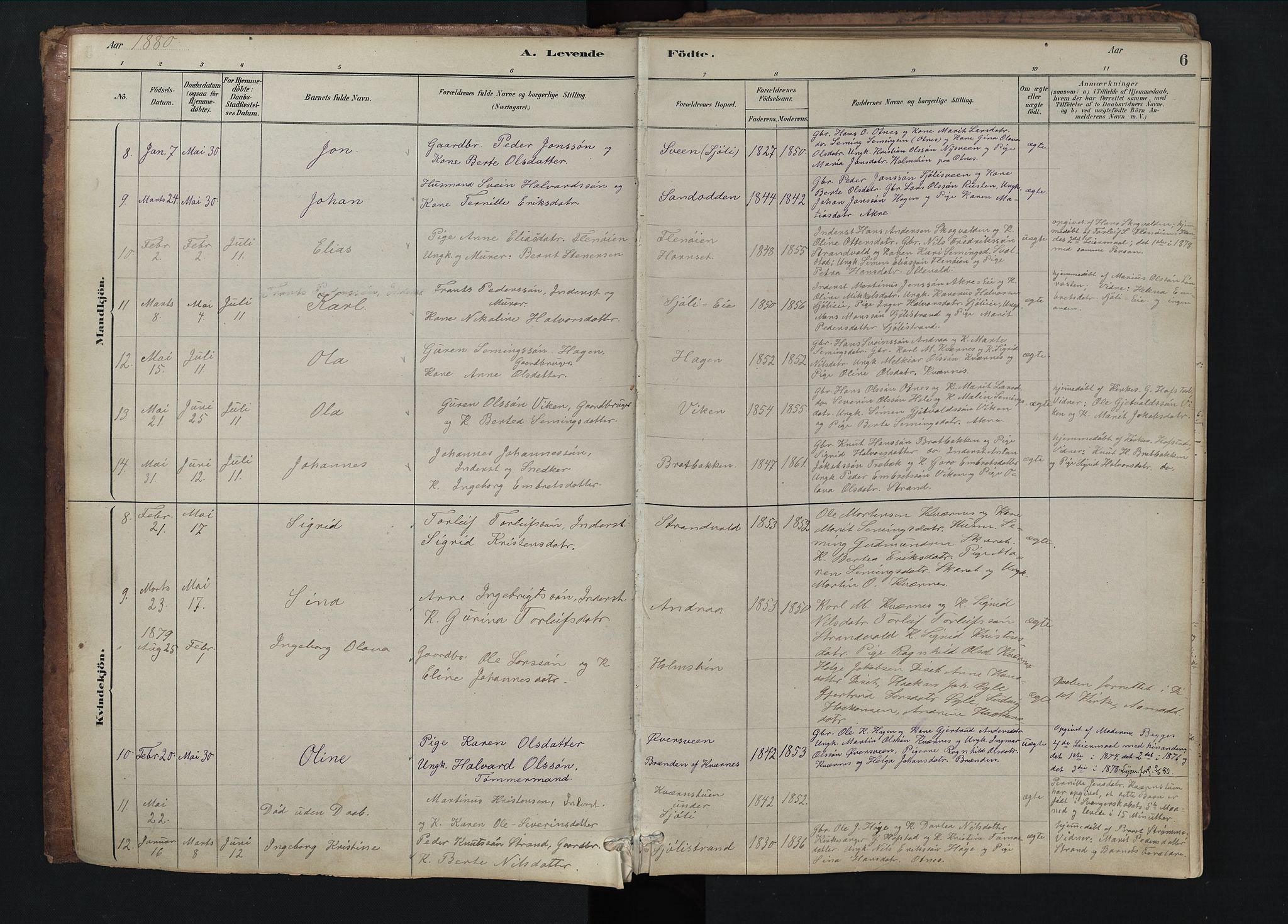 Rendalen prestekontor, SAH/PREST-054/H/Ha/Hab/L0009: Parish register (copy) no. 9, 1879-1902, p. 6