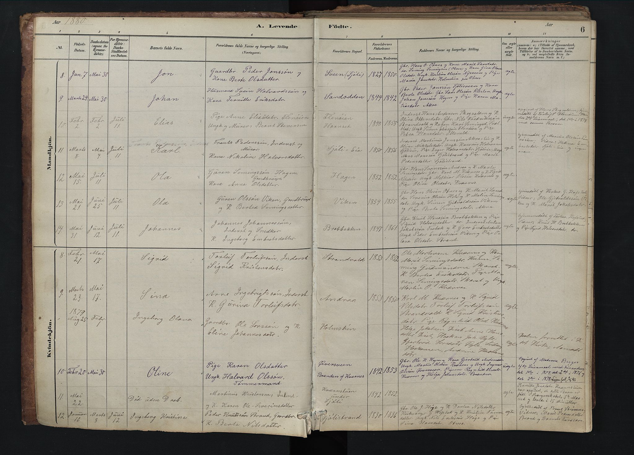 Rendalen prestekontor, AV/SAH-PREST-054/H/Ha/Hab/L0009: Parish register (copy) no. 9, 1879-1902, p. 6