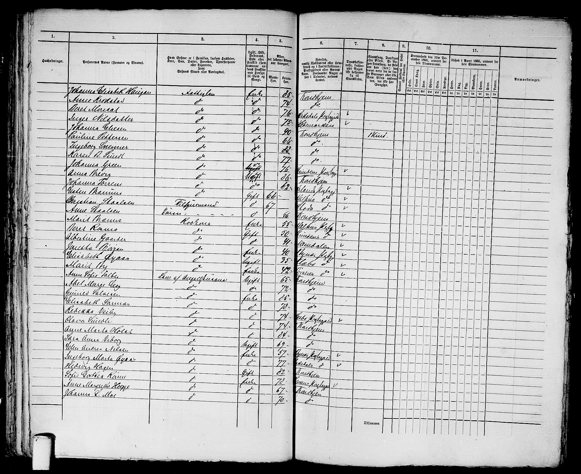 RA, 1865 census for Trondheim, 1865, p. 1621