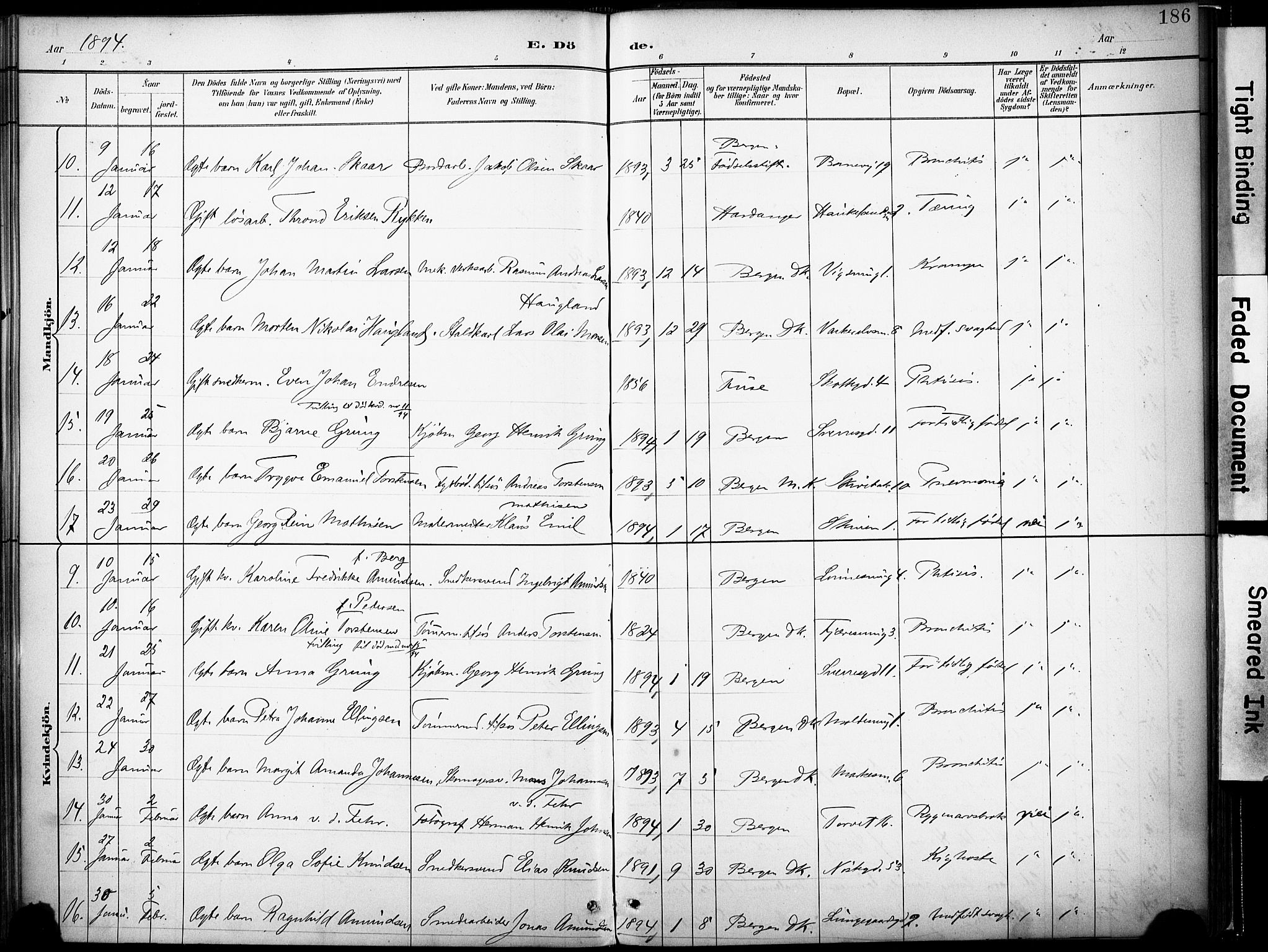 Domkirken sokneprestembete, AV/SAB-A-74801/H/Haa/L0043: Parish register (official) no. E 5, 1882-1904, p. 186