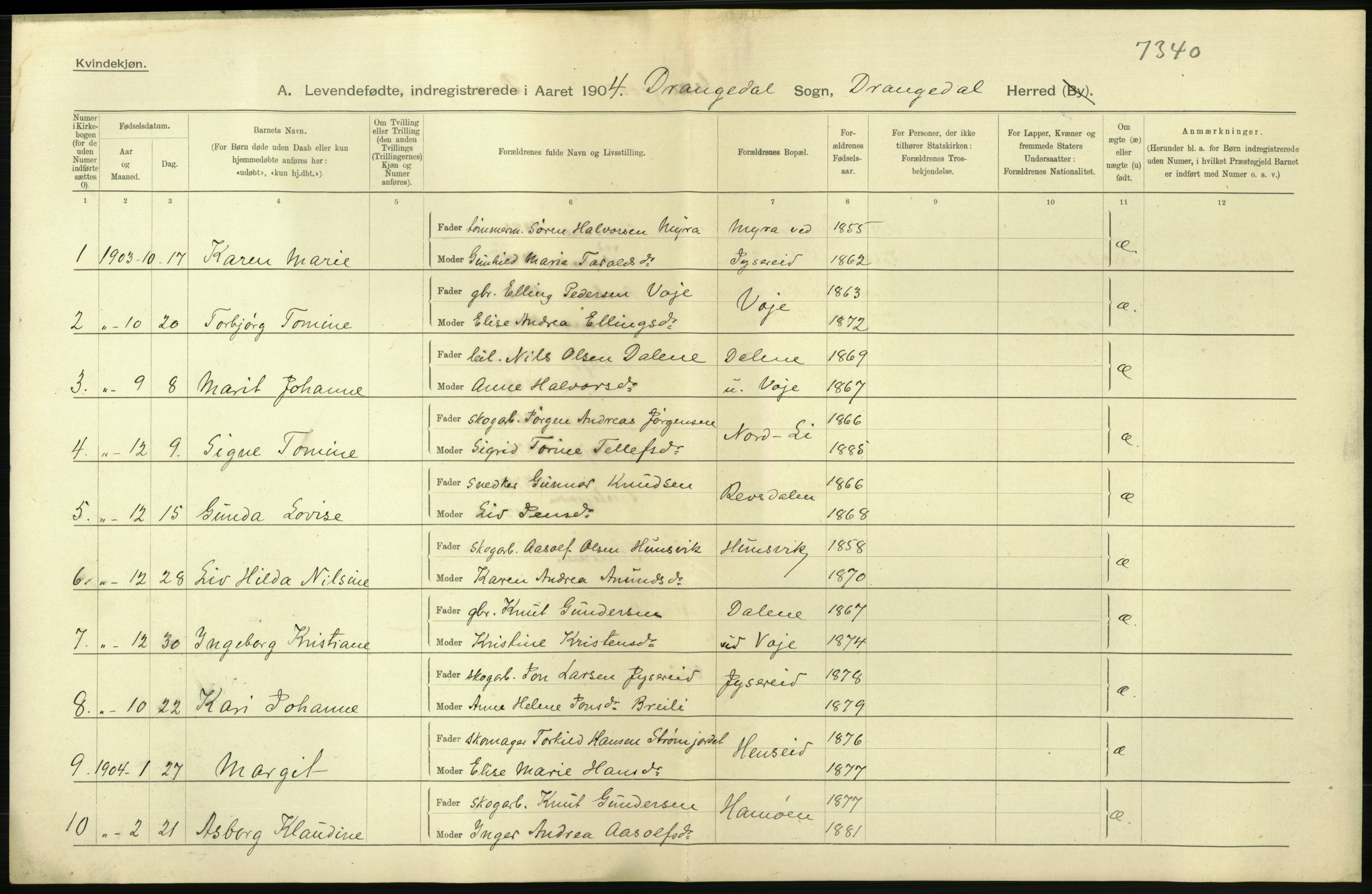 Statistisk sentralbyrå, Sosiodemografiske emner, Befolkning, AV/RA-S-2228/D/Df/Dfa/Dfab/L0009: Bratsberg amt: Fødte, gifte, døde, 1904, p. 22