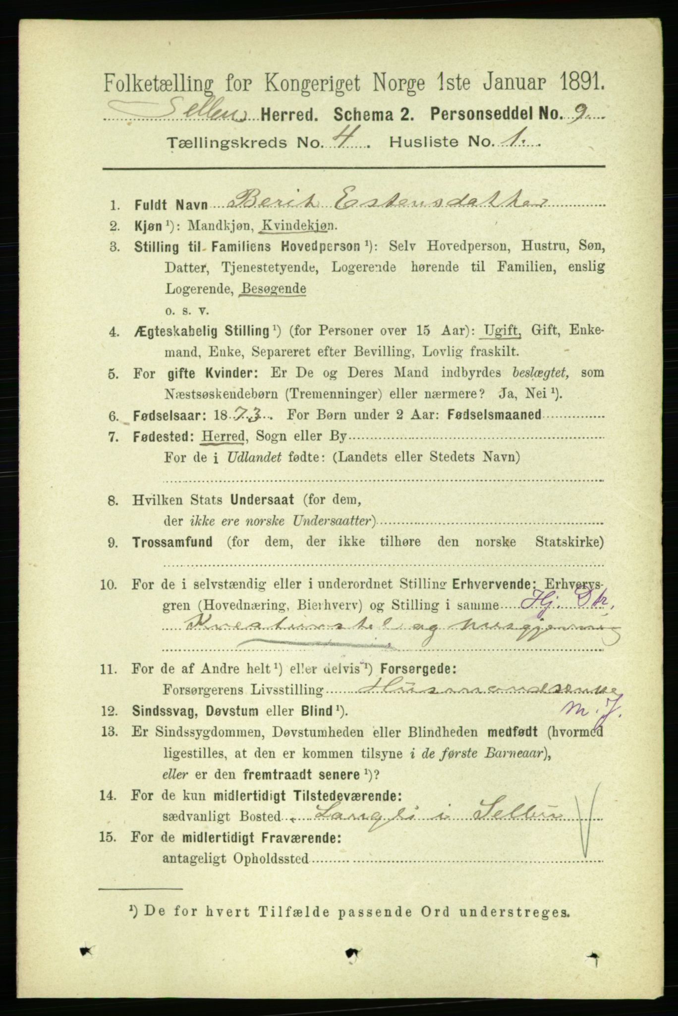 RA, 1891 census for 1664 Selbu, 1891, p. 1071