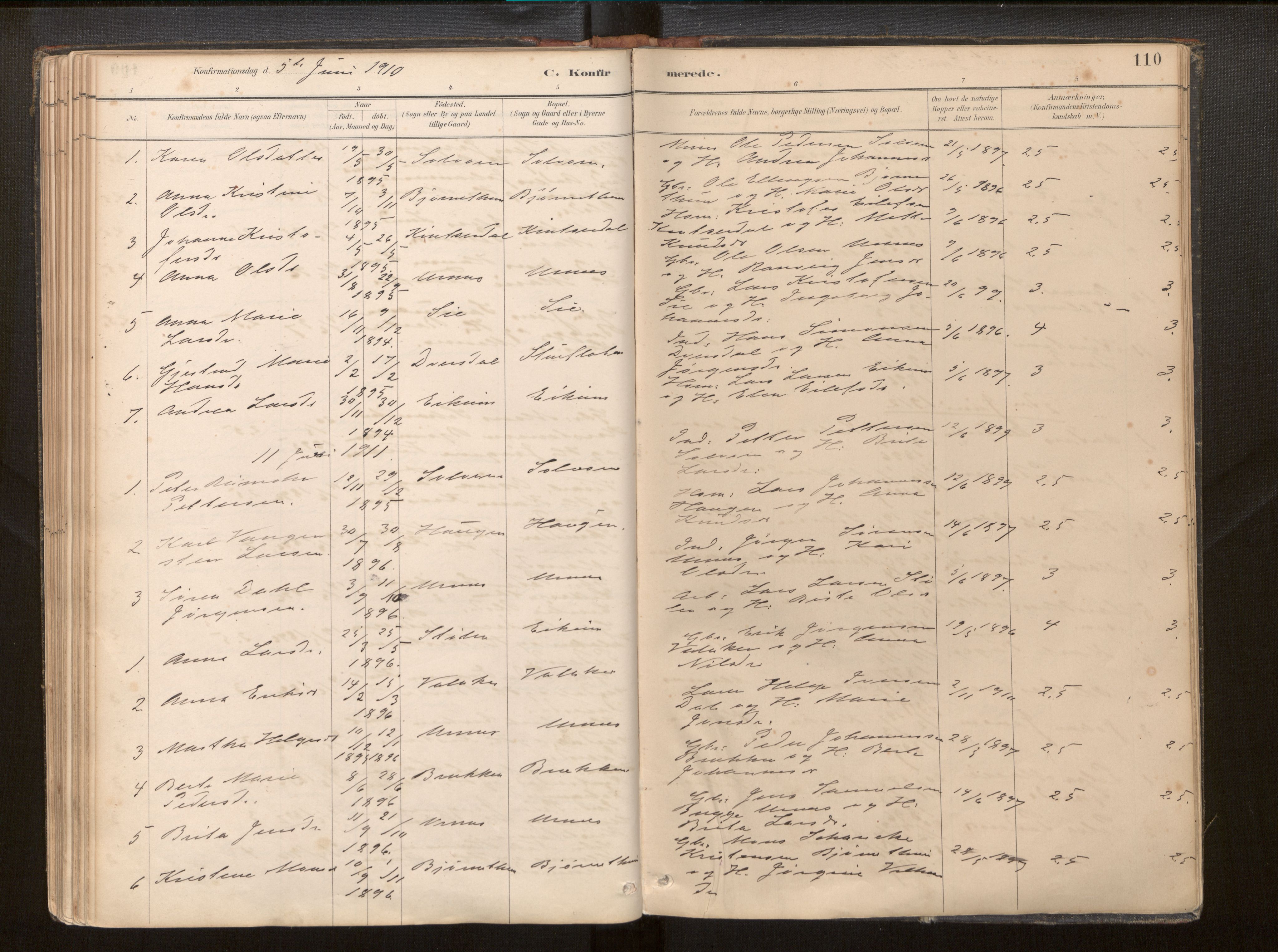 Hafslo sokneprestembete, SAB/A-80301/H/Haa/Haac/L0001: Parish register (official) no. C 1, 1886-1944, p. 110