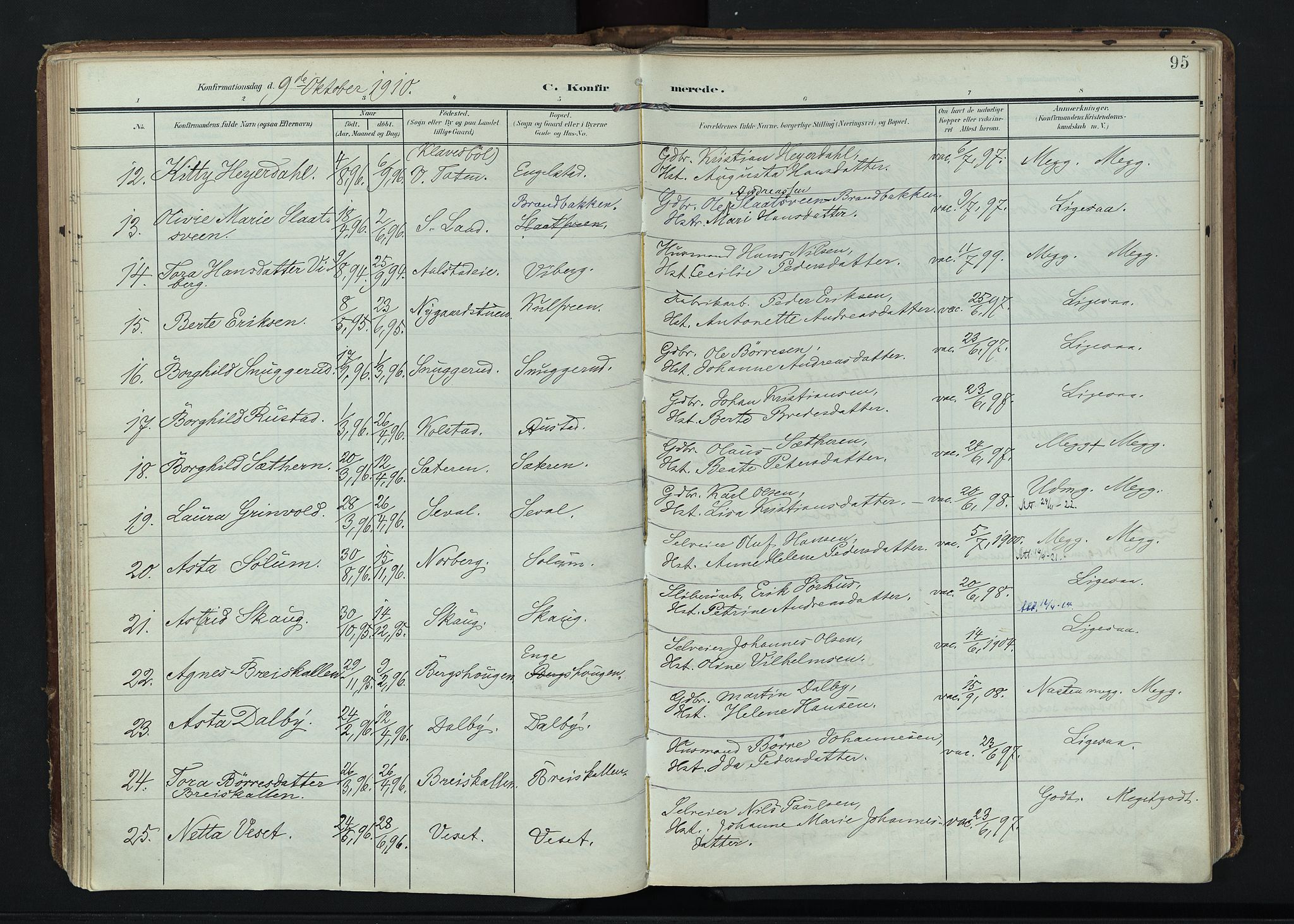 Vardal prestekontor, AV/SAH-PREST-100/H/Ha/Haa/L0020: Parish register (official) no. 20, 1907-1921, p. 95