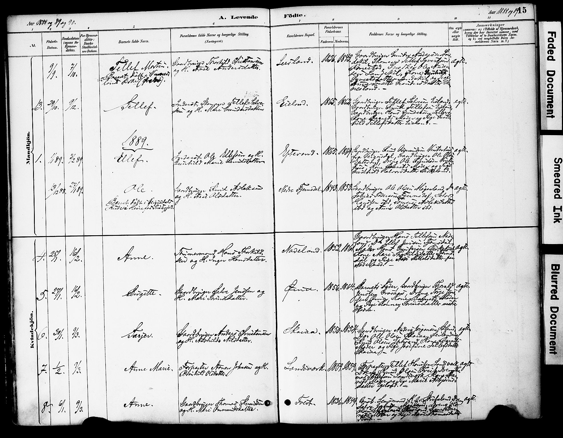 Evje sokneprestkontor, AV/SAK-1111-0008/F/Fa/Fac/L0003: Parish register (official) no. A 3, 1884-1909, p. 15