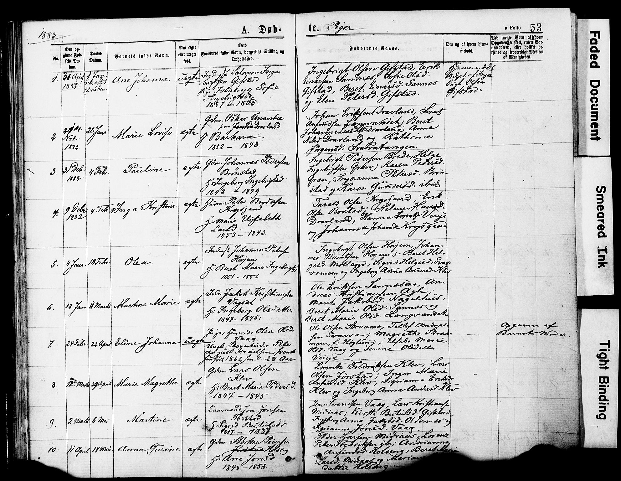 Ministerialprotokoller, klokkerbøker og fødselsregistre - Nord-Trøndelag, AV/SAT-A-1458/749/L0473: Parish register (official) no. 749A07, 1873-1887, p. 53