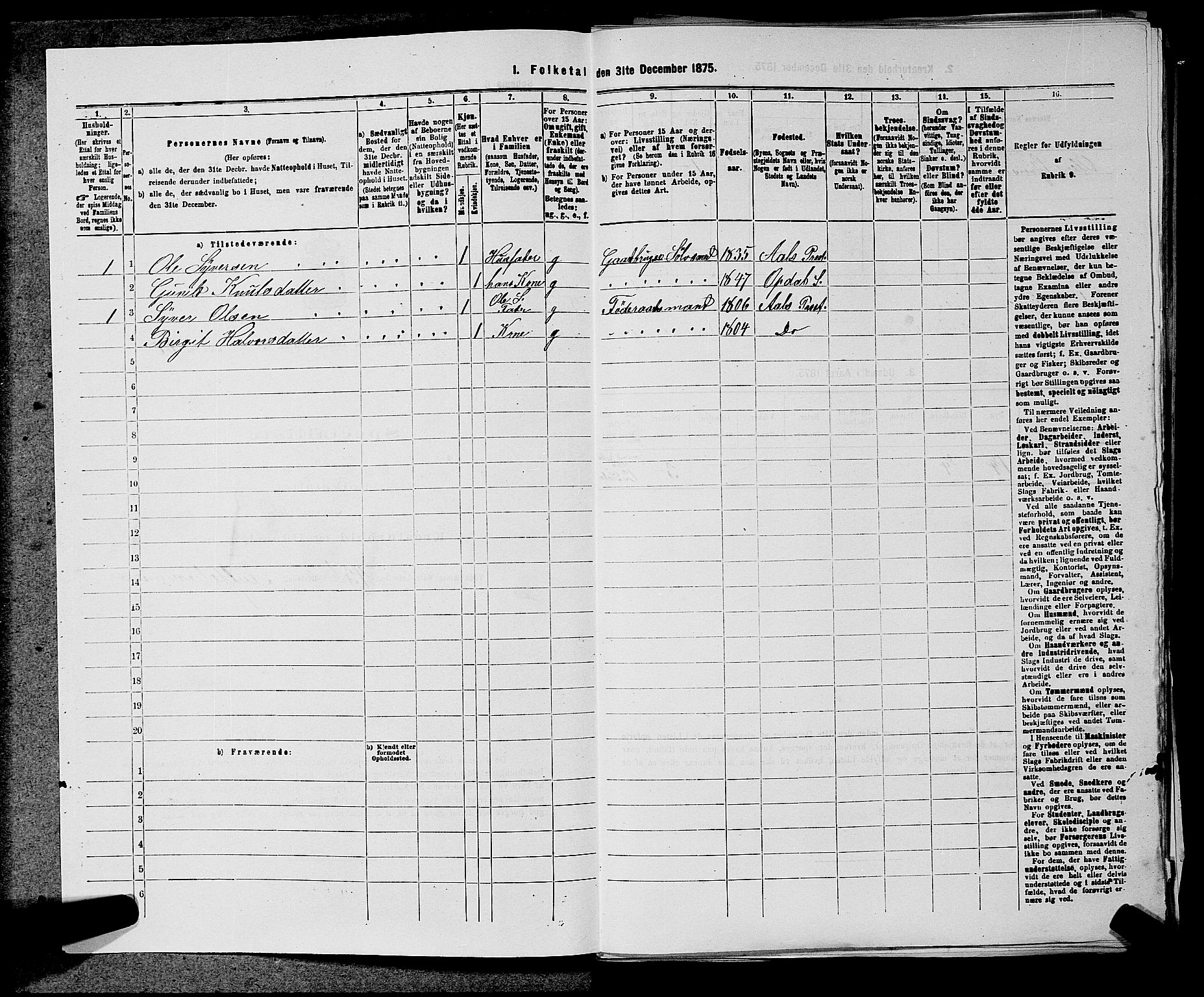 SAKO, 1875 census for 0633P Nore, 1875, p. 335