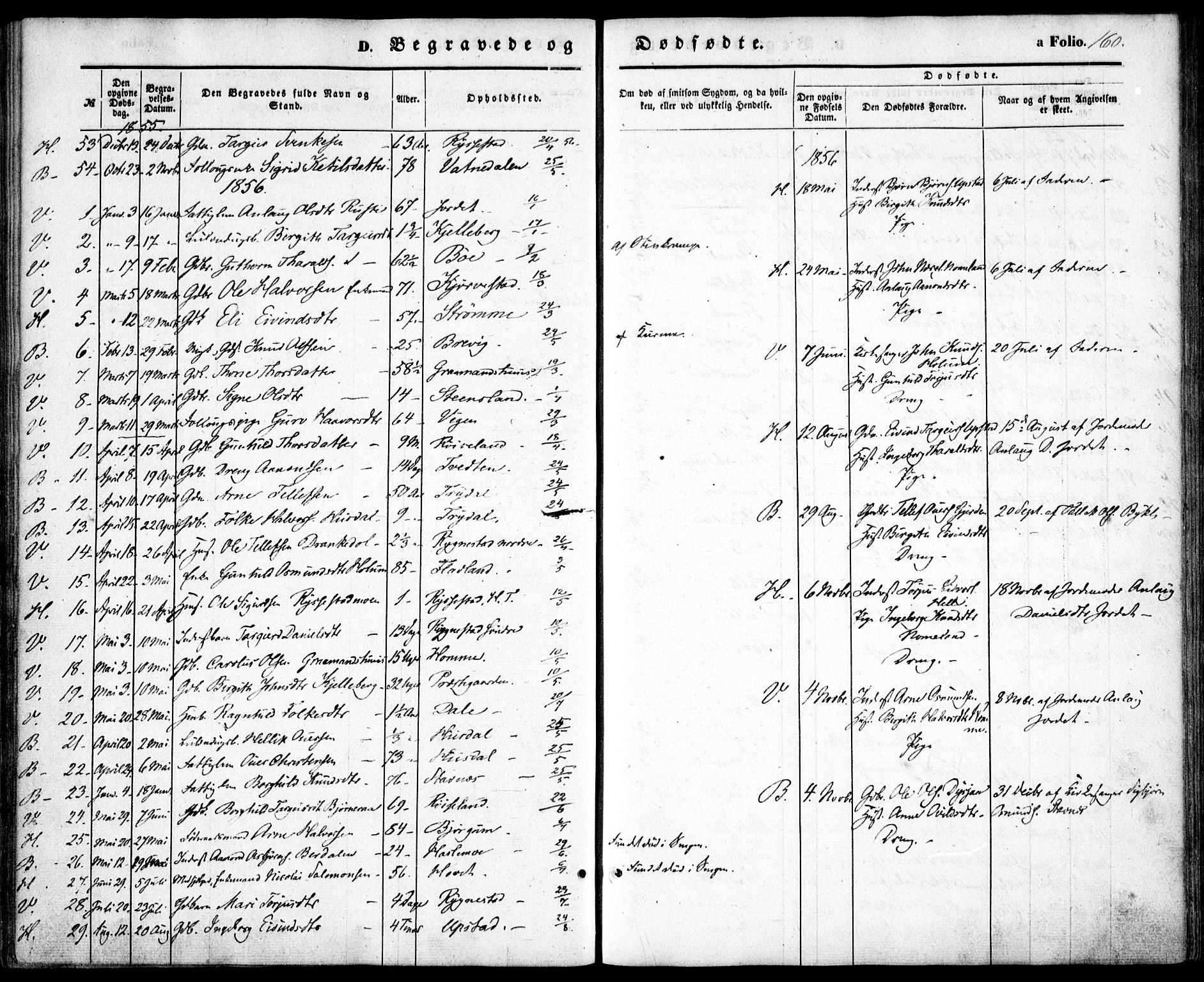 Valle sokneprestkontor, SAK/1111-0044/F/Fa/Fac/L0007: Parish register (official) no. A 7, 1854-1868, p. 160