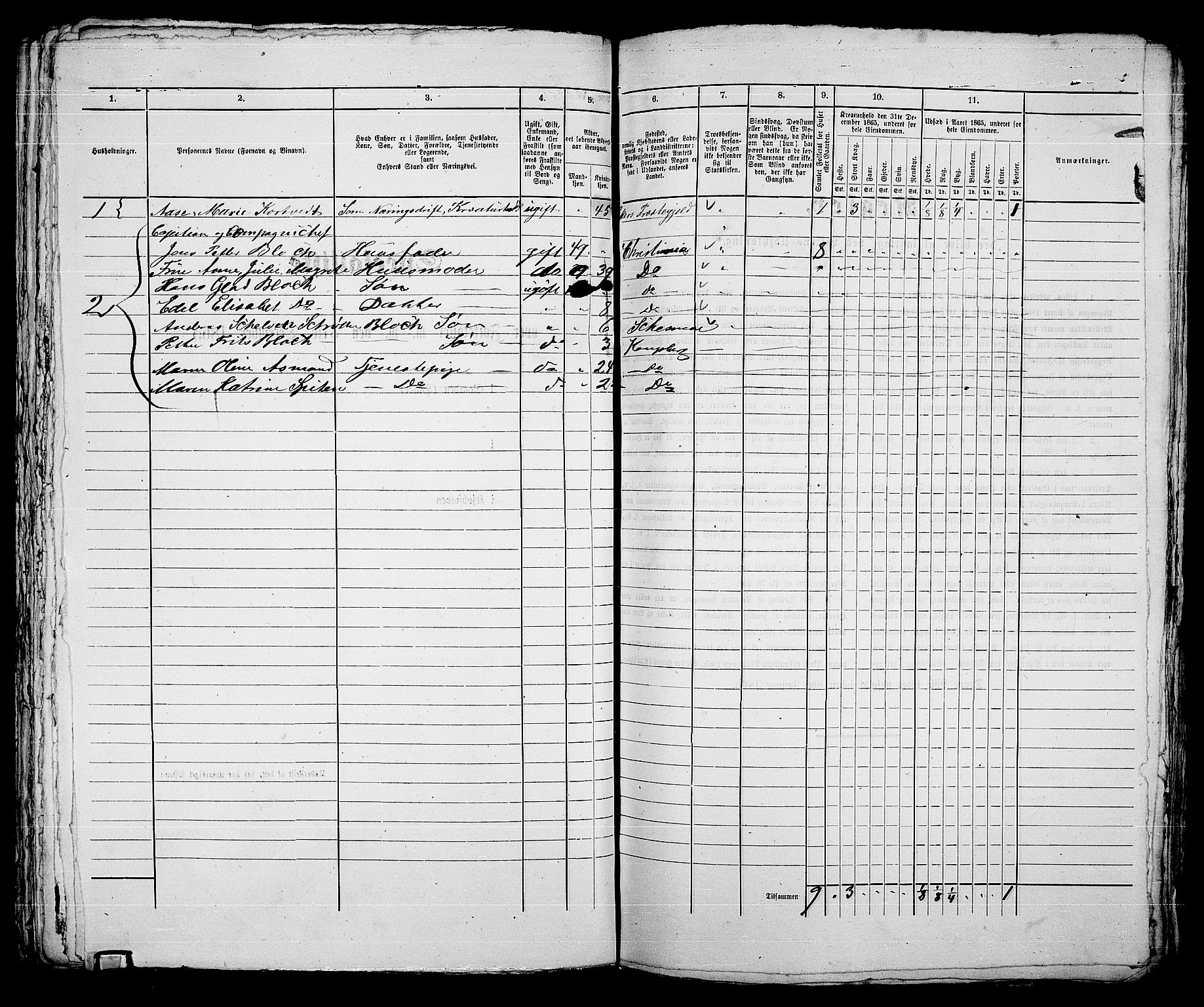 RA, 1865 census for Kongsberg/Kongsberg, 1865, p. 766