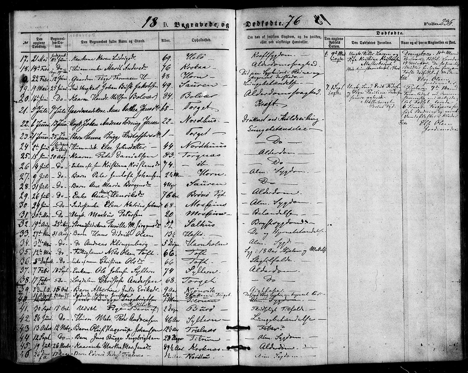 Ministerialprotokoller, klokkerbøker og fødselsregistre - Nordland, SAT/A-1459/813/L0199: Parish register (official) no. 813A09, 1875-1885, p. 236