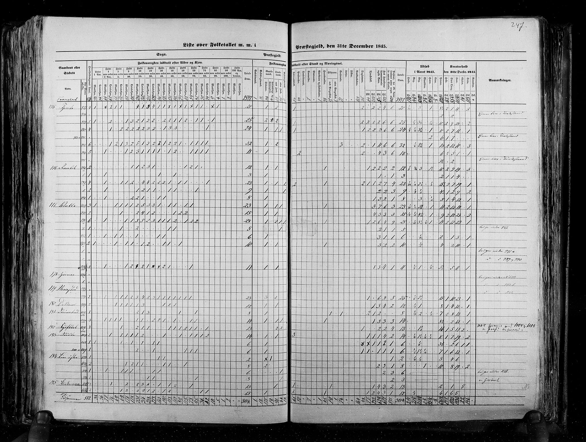 RA, Census 1845, vol. 5: Bratsberg amt og Nedenes og Råbyggelaget amt, 1845, p. 247