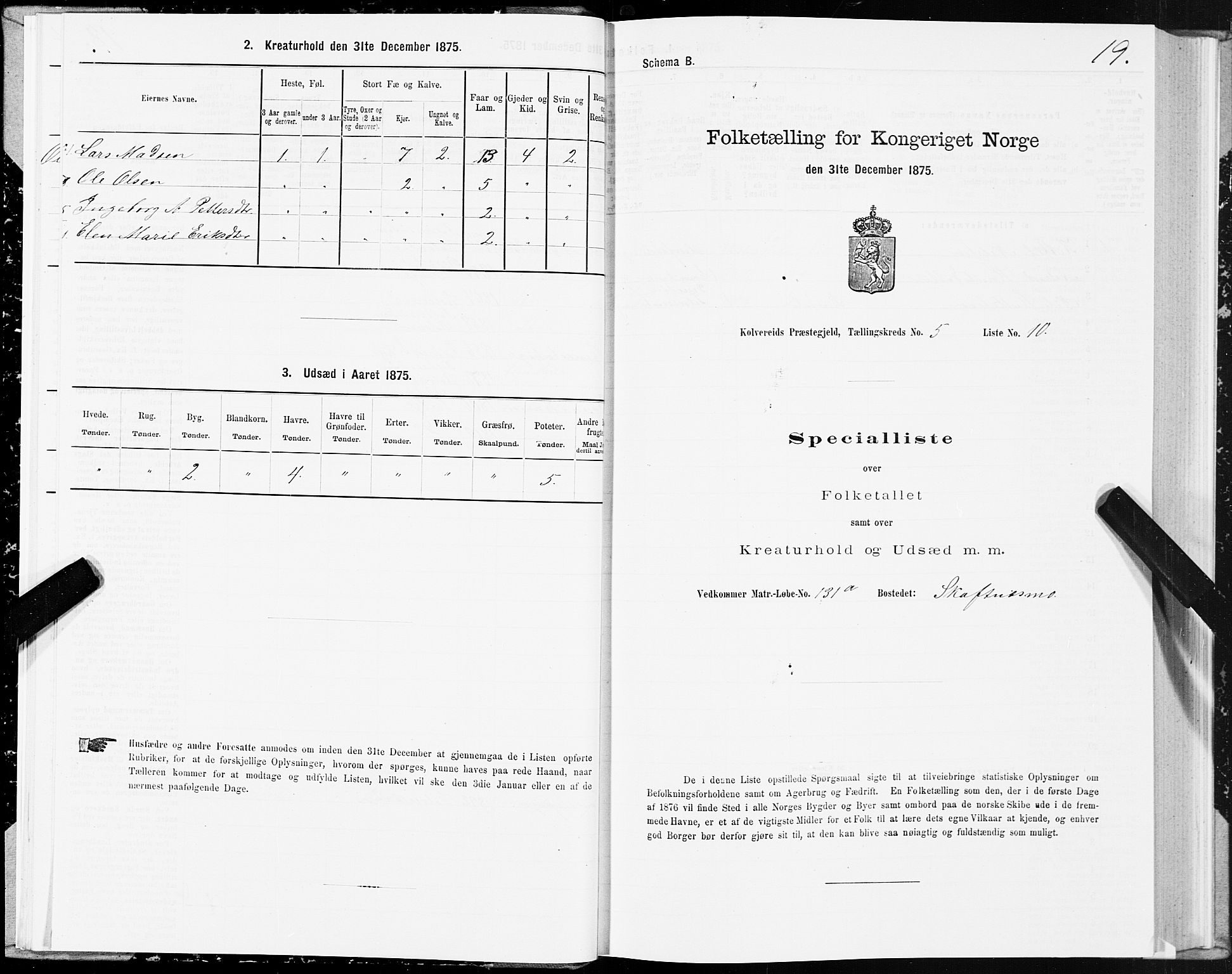 SAT, 1875 census for 1752P Kolvereid, 1875, p. 3019