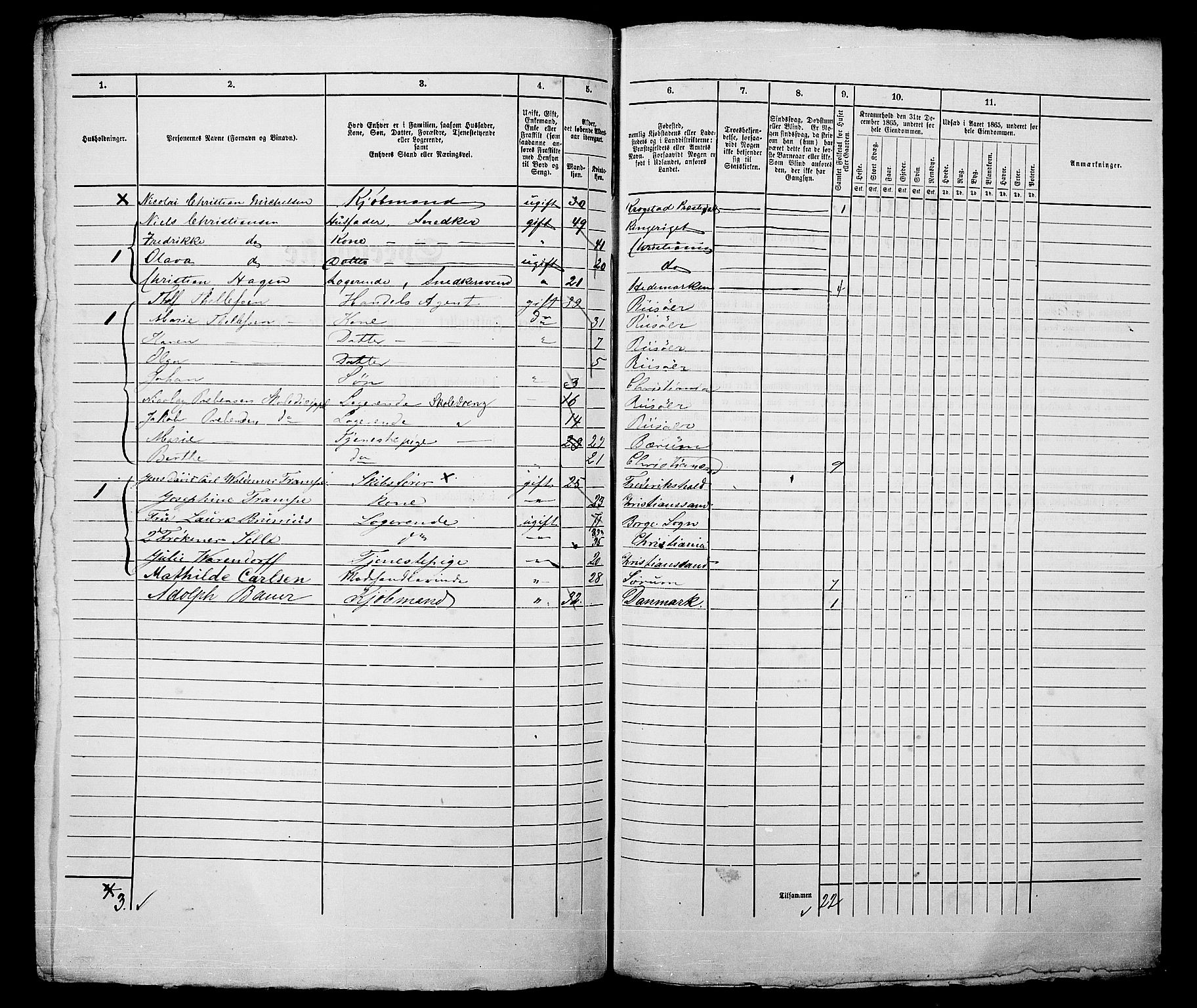 RA, 1865 census for Kristiania, 1865, p. 381