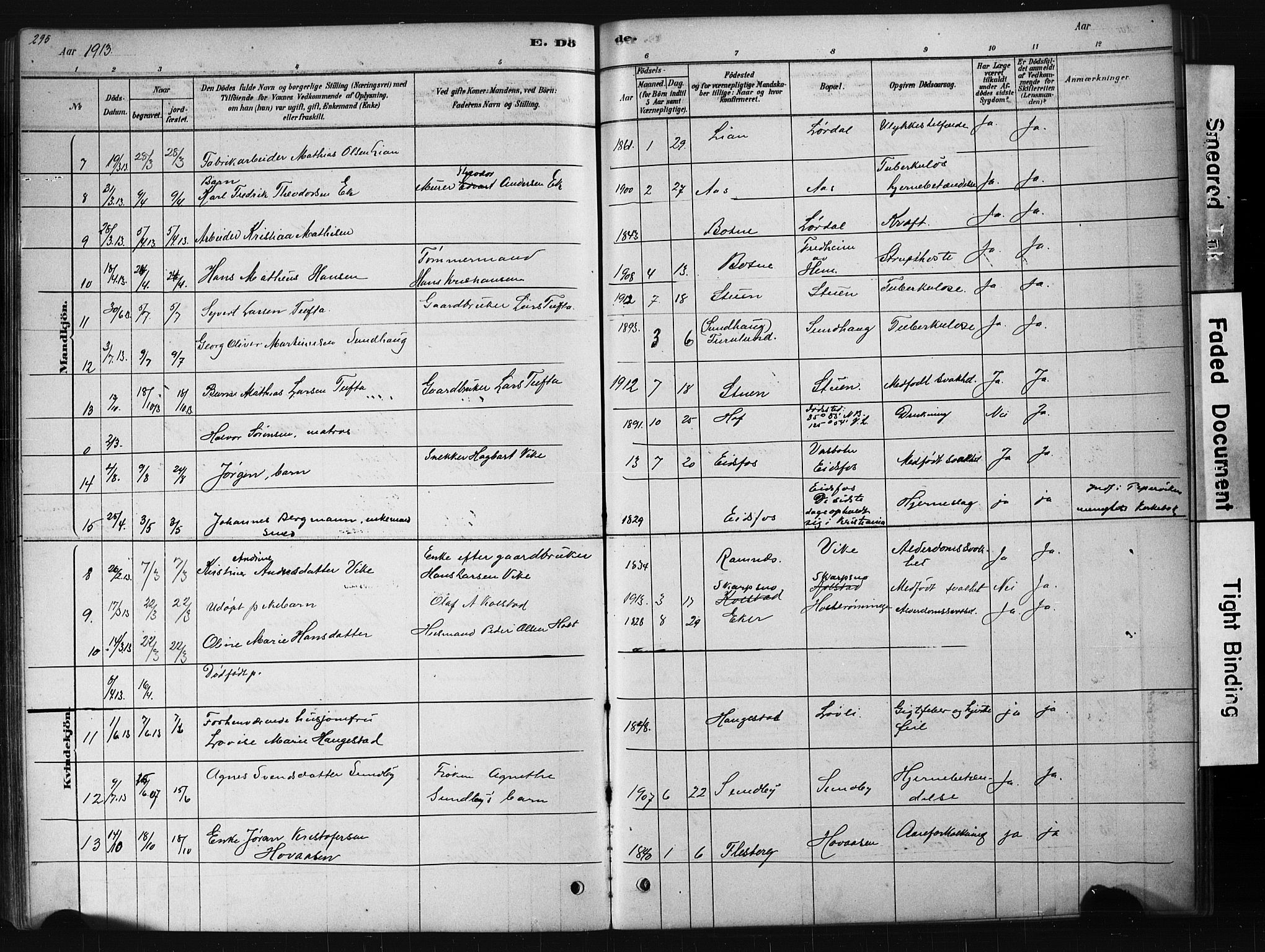 Hof kirkebøker, AV/SAKO-A-64/G/Ga/L0004: Parish register (copy) no. I 4, 1878-1930, p. 295