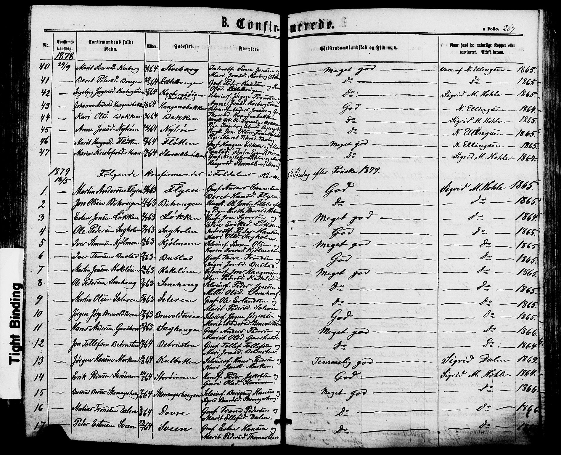 Alvdal prestekontor, SAH/PREST-060/H/Ha/Haa/L0001: Parish register (official) no. 1, 1863-1882, p. 269