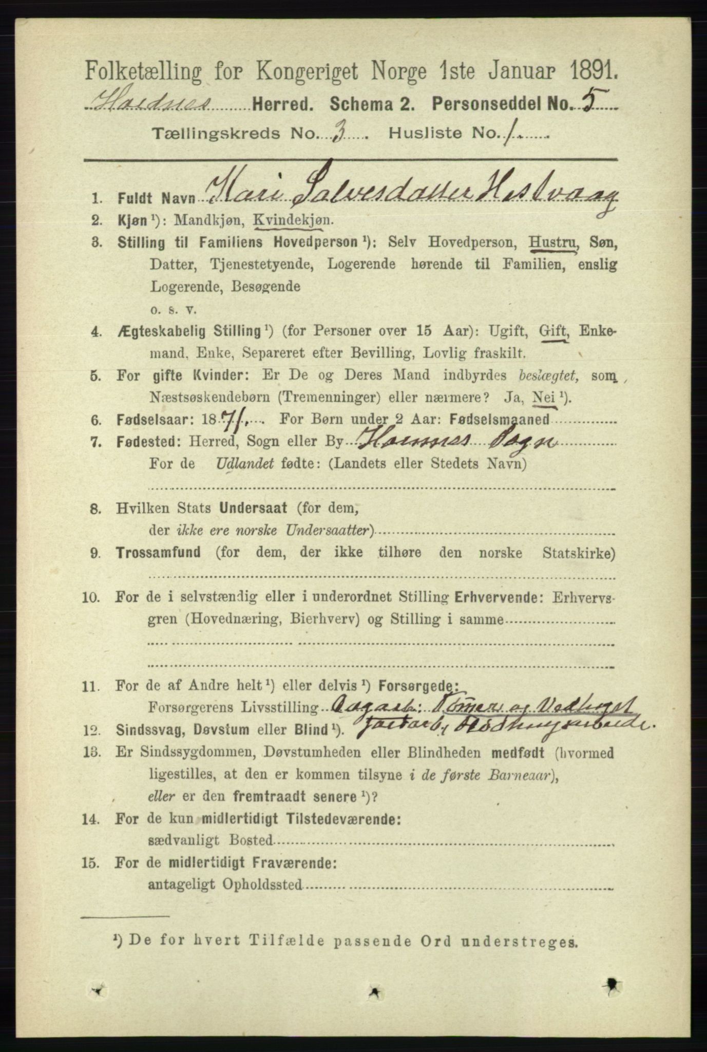 RA, 1891 census for 0936 Hornnes, 1891, p. 547