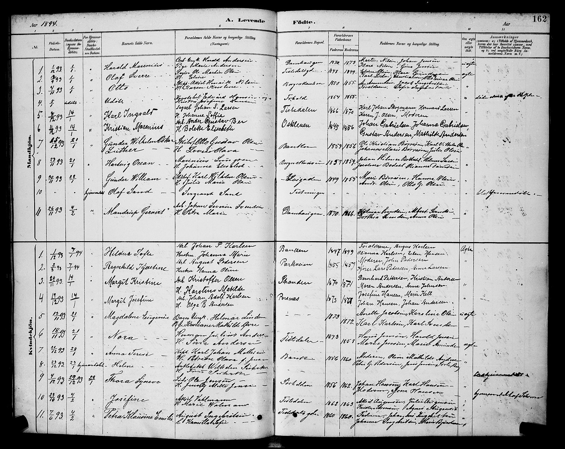 Halden prestekontor Kirkebøker, SAO/A-10909/G/Ga/L0008: Parish register (copy) no. 8, 1885-1899, p. 162