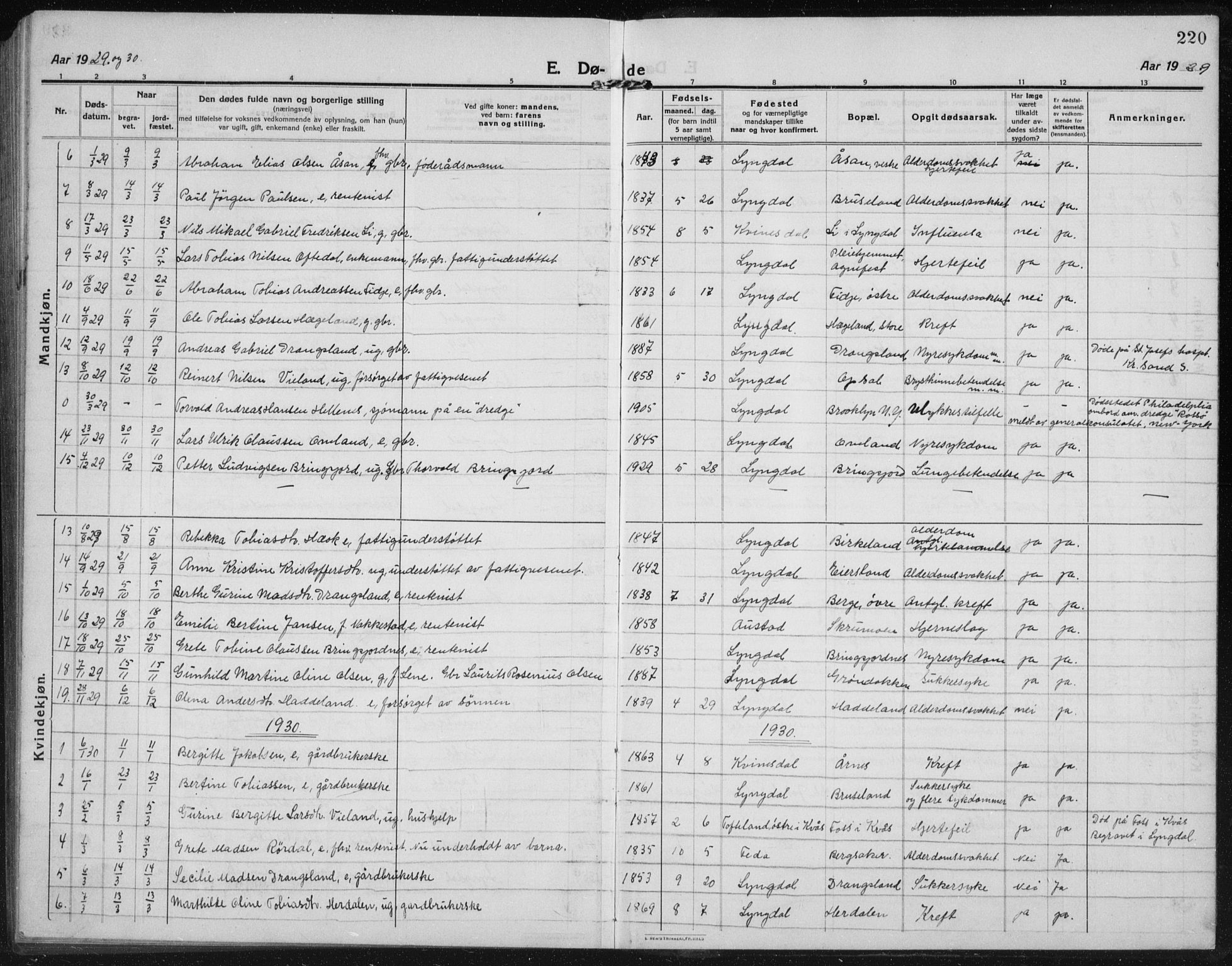 Lyngdal sokneprestkontor, AV/SAK-1111-0029/F/Fb/Fbc/L0006: Parish register (copy) no. B 6, 1914-1934, p. 220