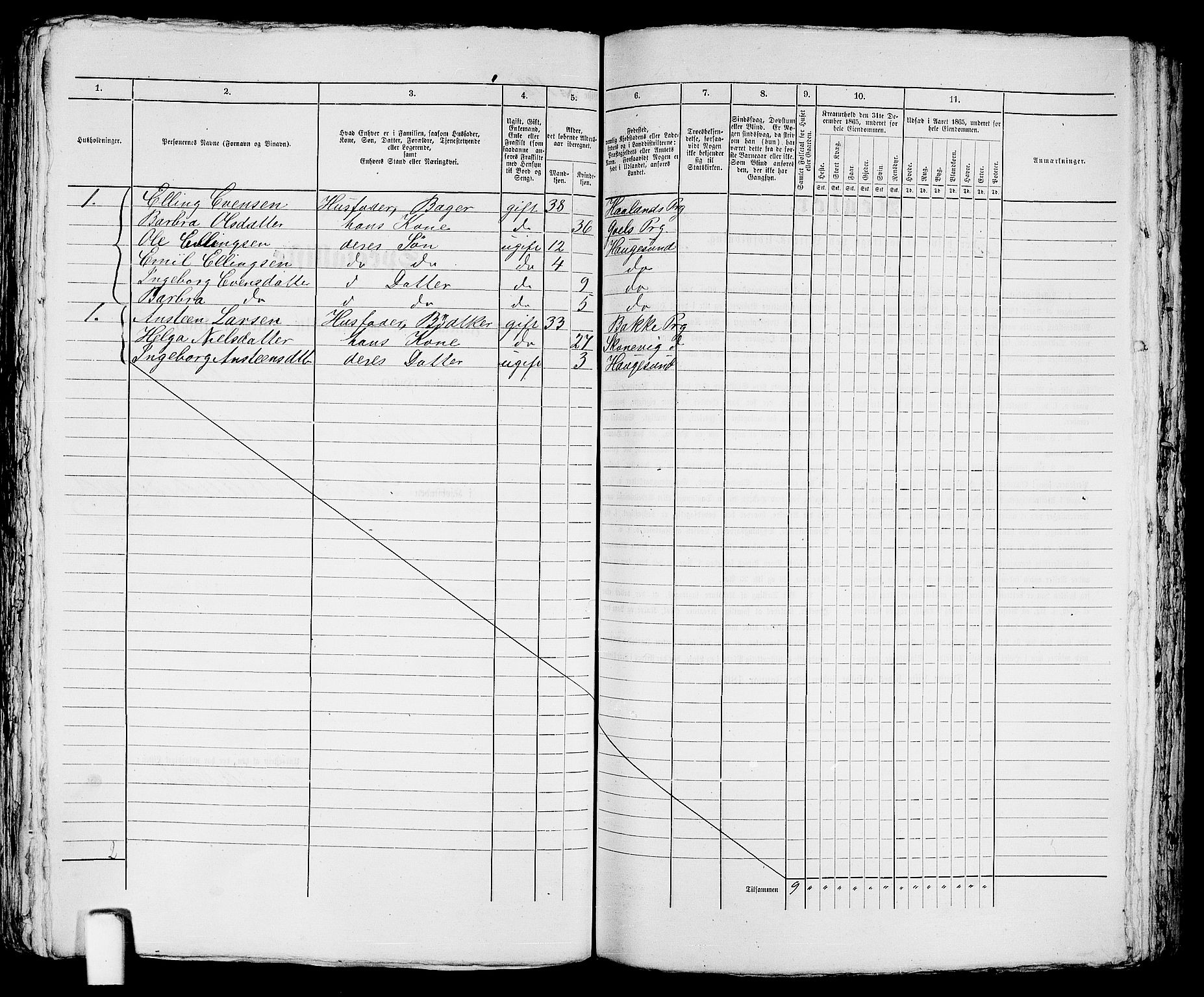 RA, 1865 census for Torvastad/Haugesund, 1865, p. 409