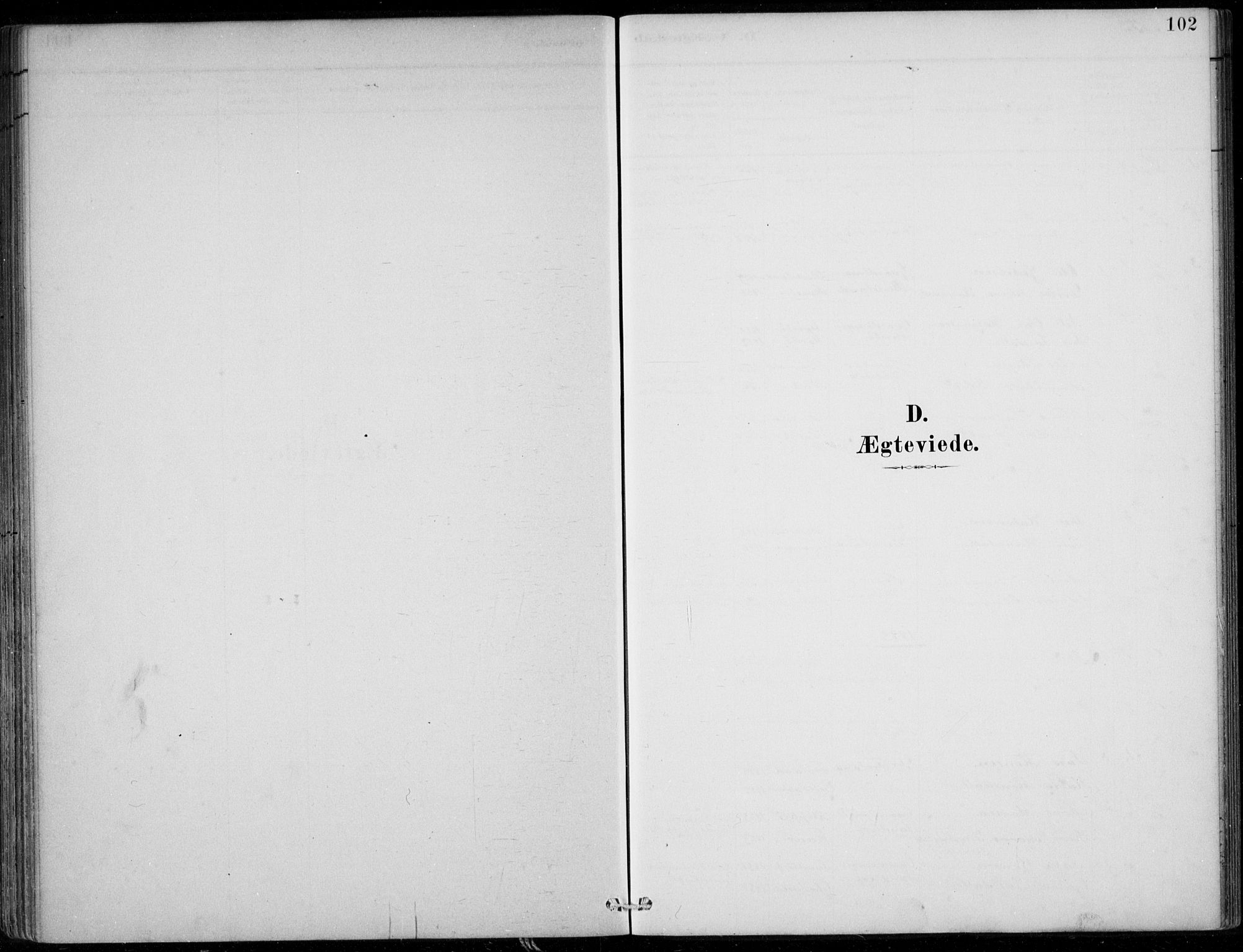 Sund sokneprestembete, AV/SAB-A-99930: Parish register (official) no. C  1, 1882-1899, p. 102