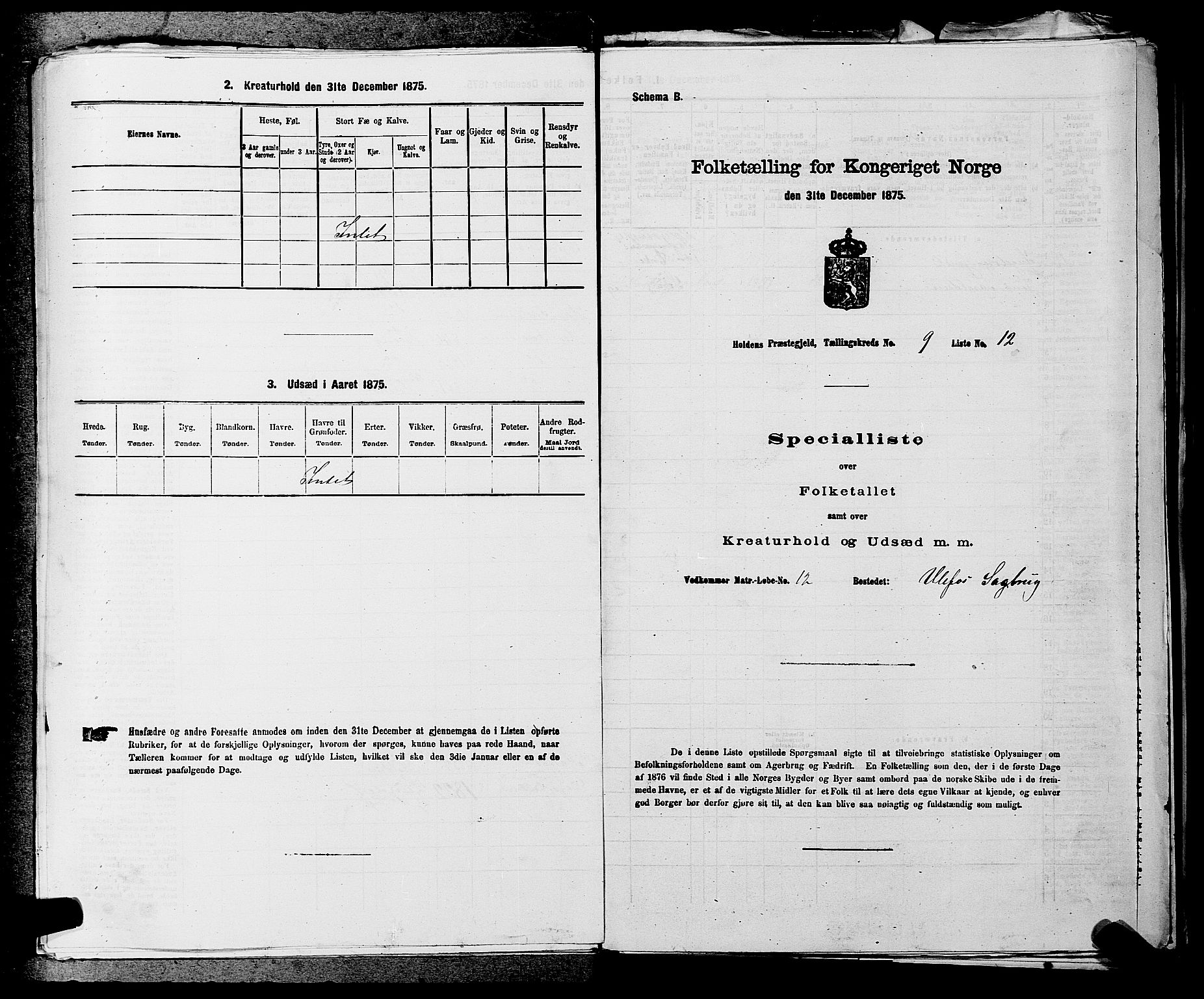 SAKO, 1875 census for 0819P Holla, 1875, p. 1101