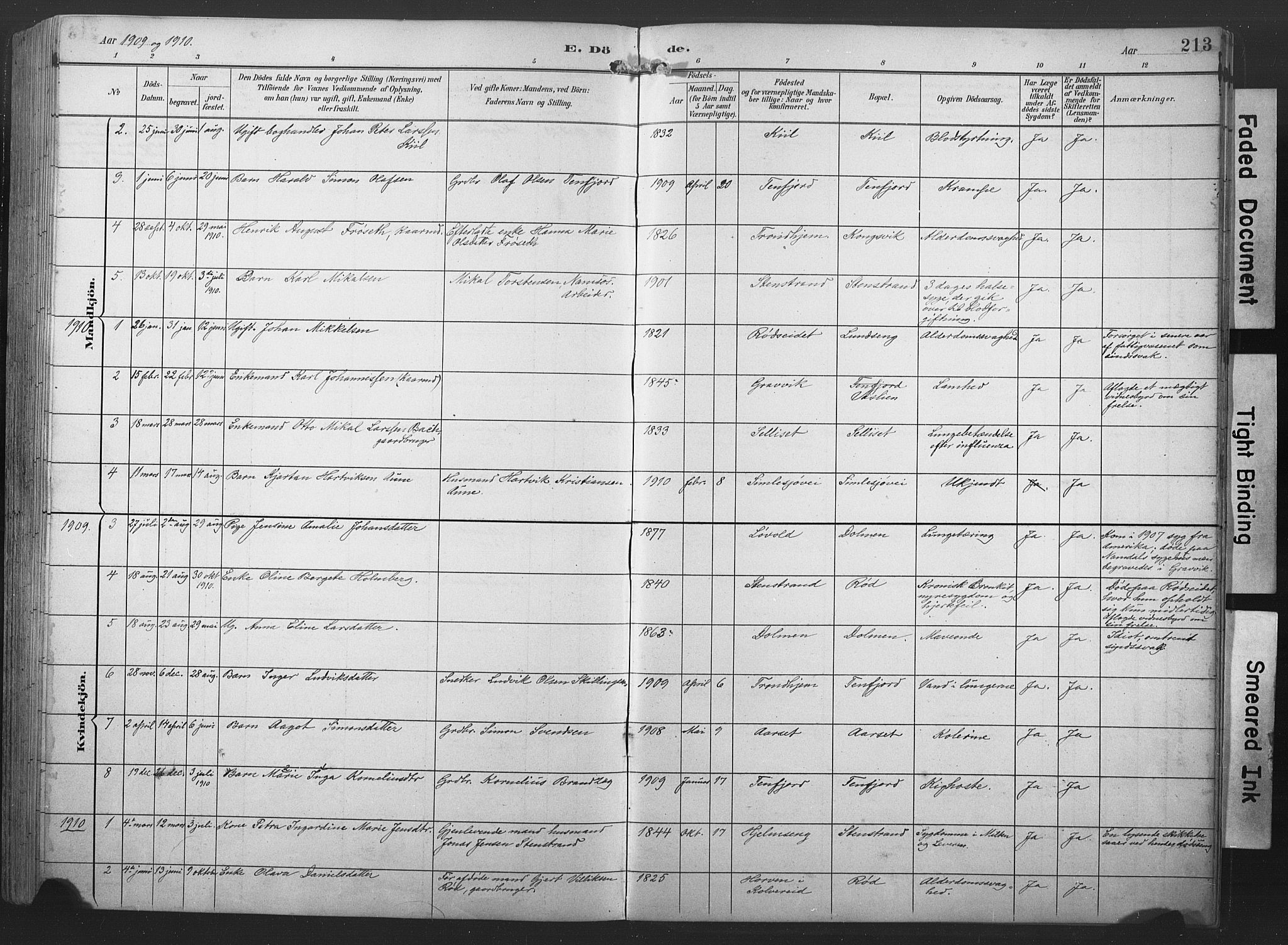 Ministerialprotokoller, klokkerbøker og fødselsregistre - Nord-Trøndelag, SAT/A-1458/789/L0706: Parish register (copy) no. 789C01, 1888-1931, p. 213