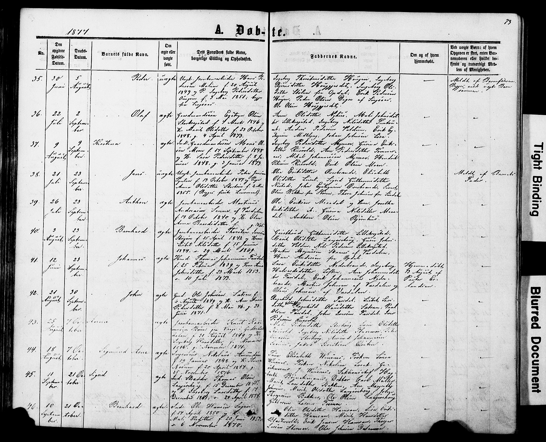 Ministerialprotokoller, klokkerbøker og fødselsregistre - Nord-Trøndelag, AV/SAT-A-1458/706/L0049: Parish register (copy) no. 706C01, 1864-1895, p. 73