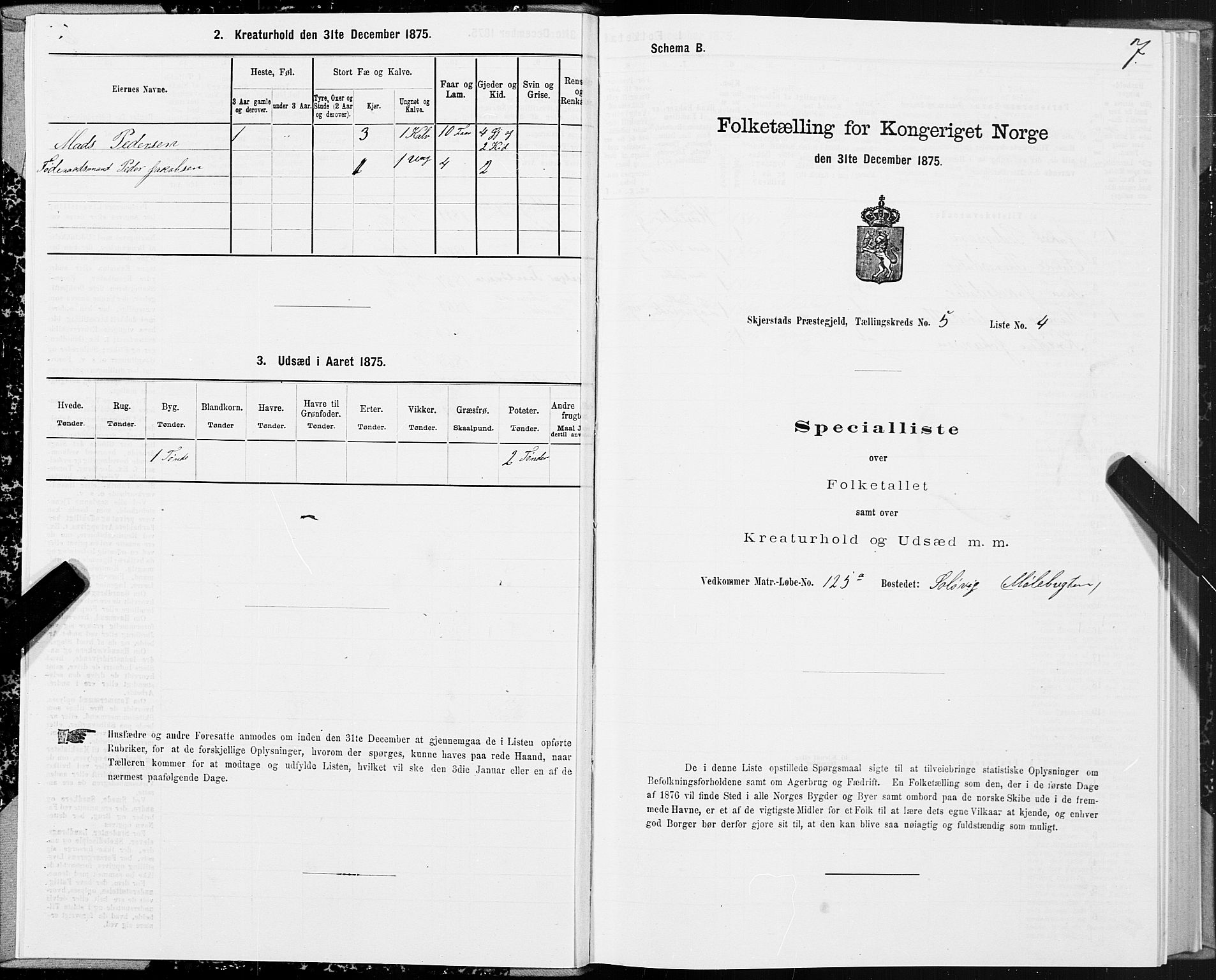 SAT, 1875 census for 1842P Skjerstad, 1875, p. 3007