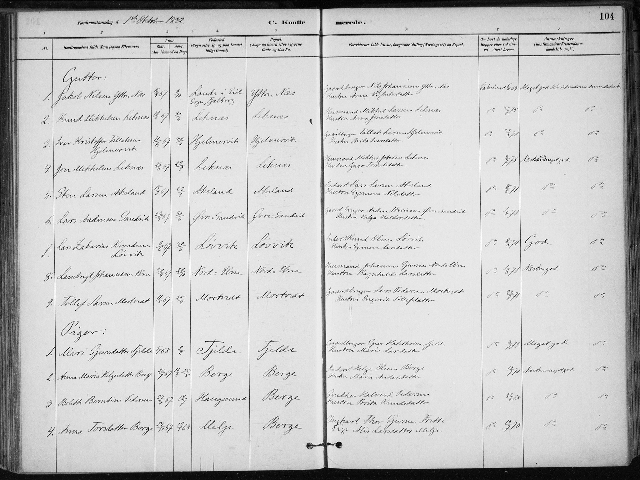 Skånevik sokneprestembete, SAB/A-77801/H/Haa: Parish register (official) no. B 1, 1879-1914, p. 104