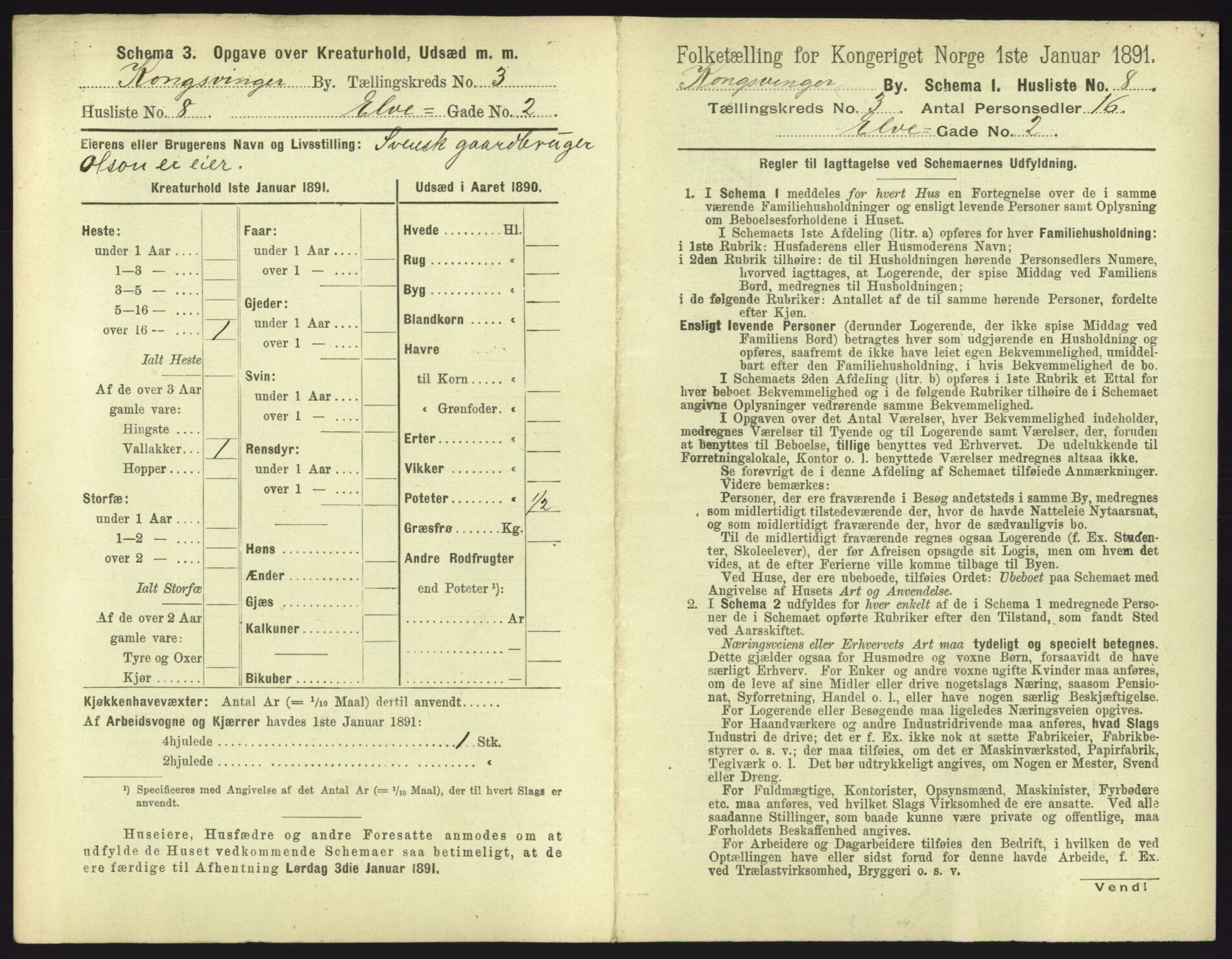 RA, 1891 census for 0402 Kongsvinger, 1891, p. 217