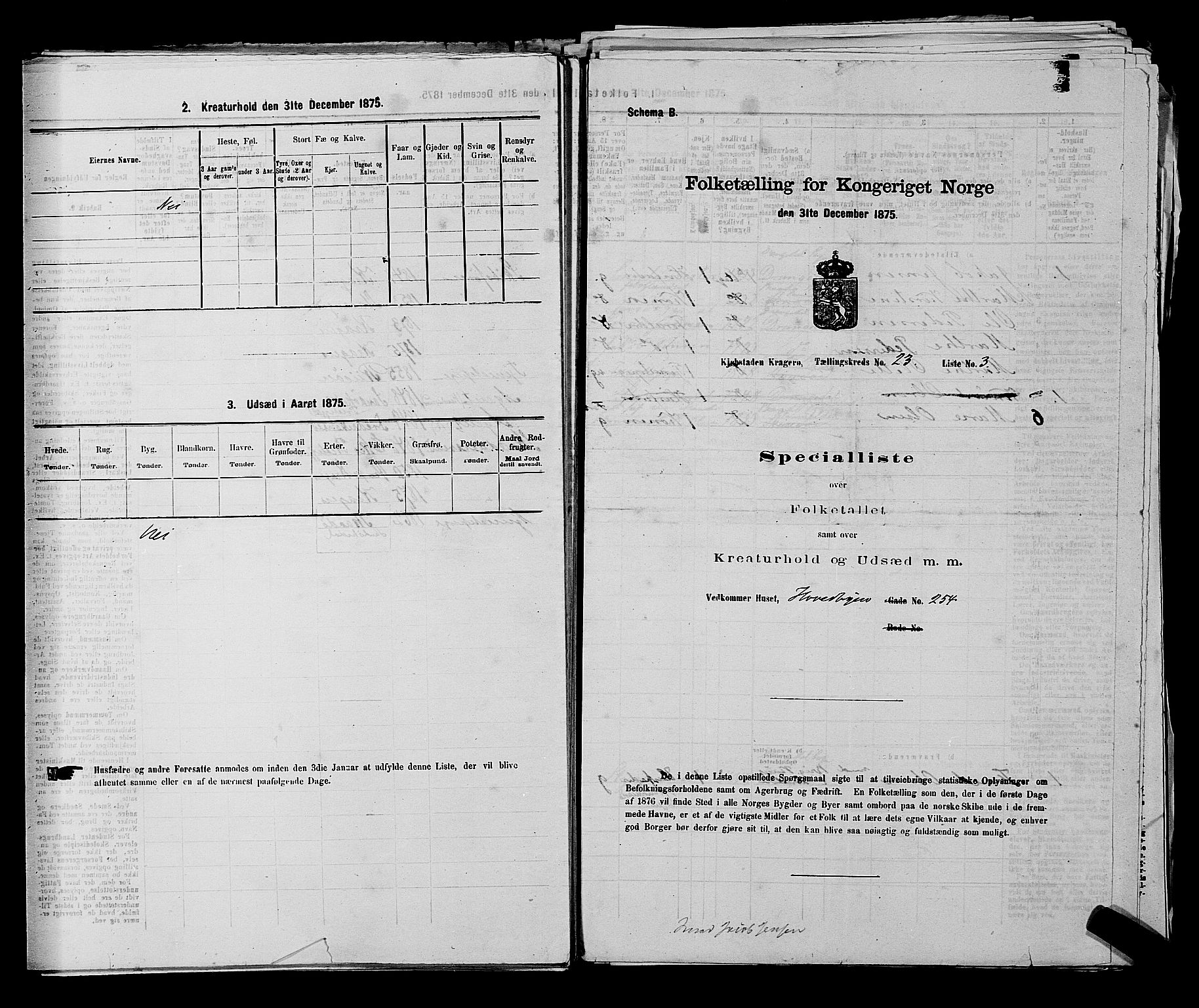 SAKO, 1875 census for 0801P Kragerø, 1875, p. 494