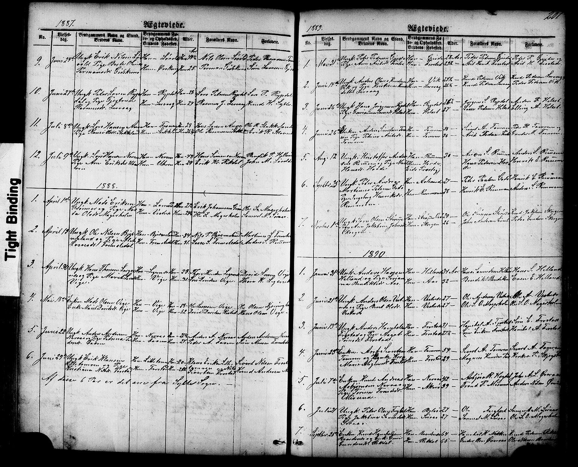 Ministerialprotokoller, klokkerbøker og fødselsregistre - Møre og Romsdal, AV/SAT-A-1454/539/L0536: Parish register (copy) no. 539C02, 1867-1913, p. 201