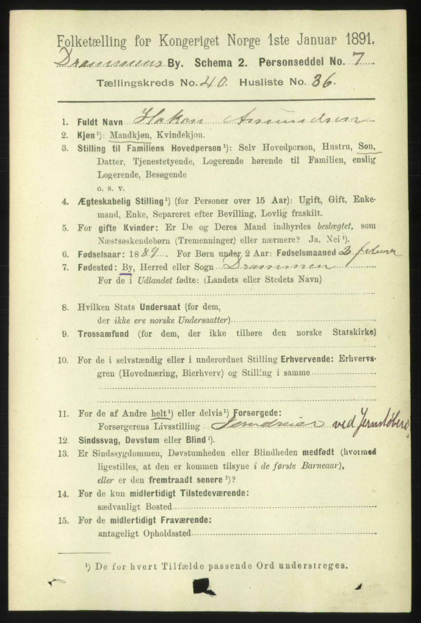 RA, 1891 census for 0602 Drammen, 1891, p. 24147