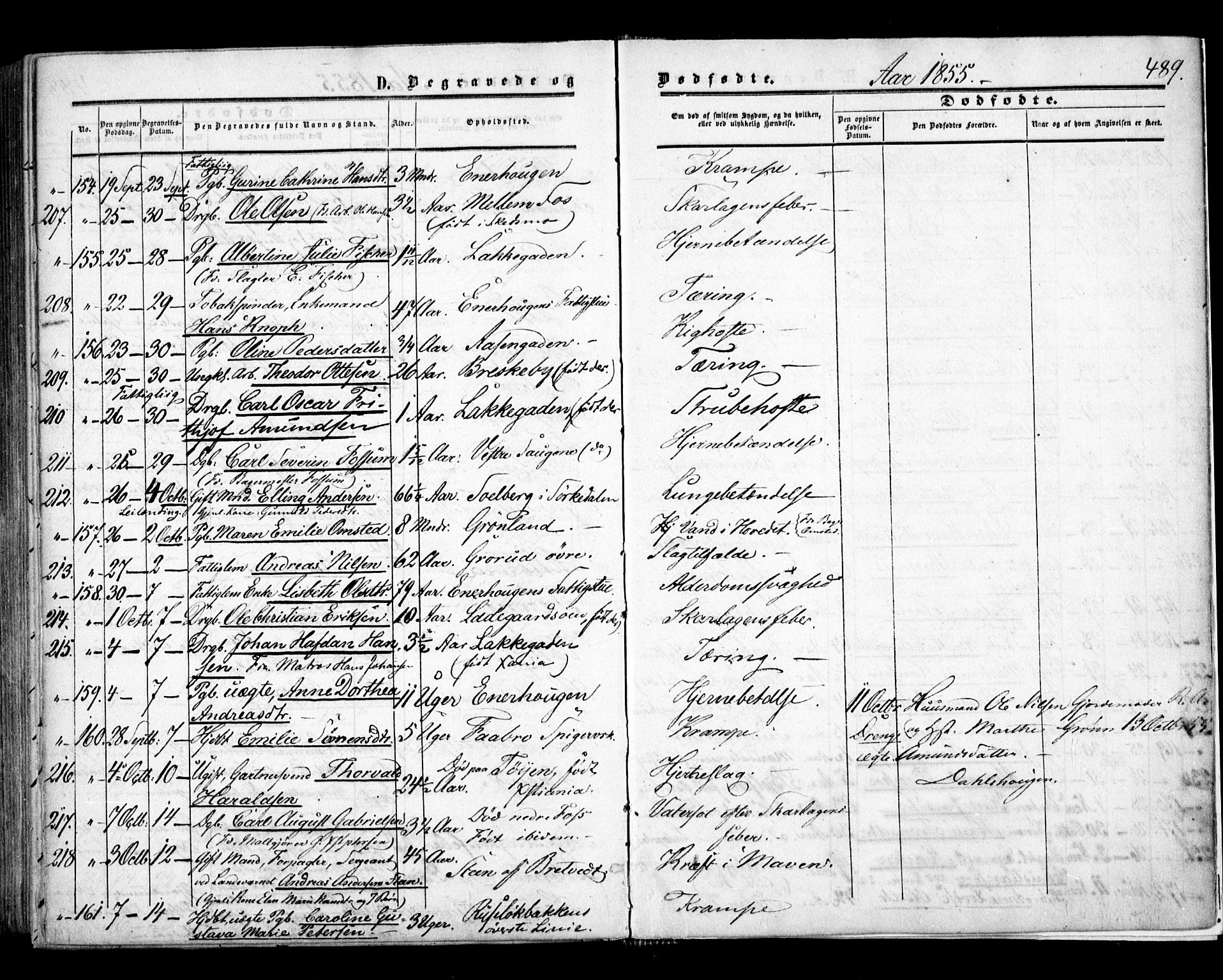 Aker prestekontor kirkebøker, AV/SAO-A-10861/F/L0020: Parish register (official) no. 20, 1853-1857, p. 489